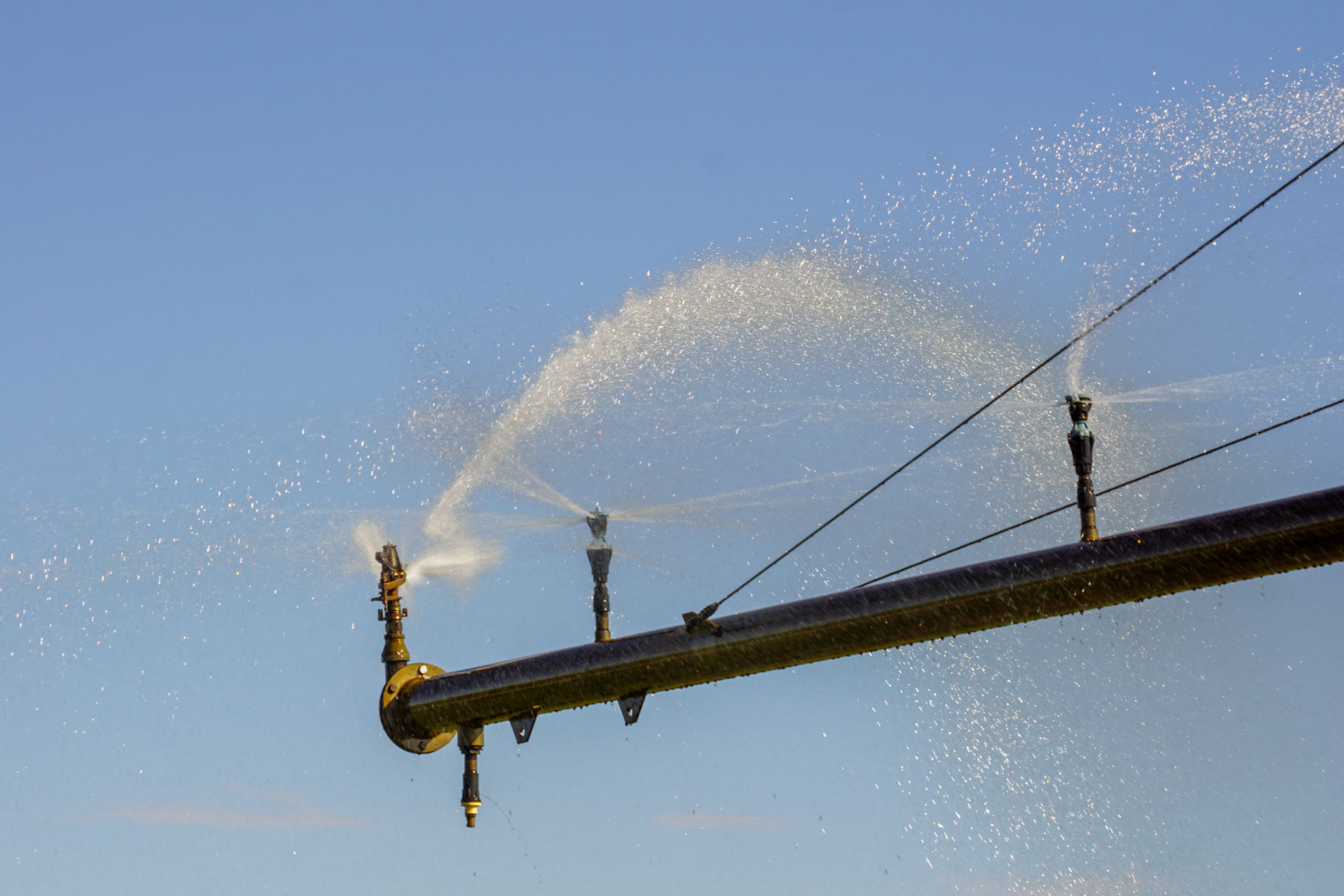 Whitetail Farm property picture 28 of 55