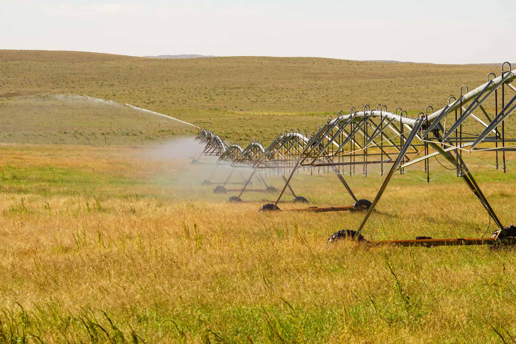 Whitetail Farm property picture 22 of 55