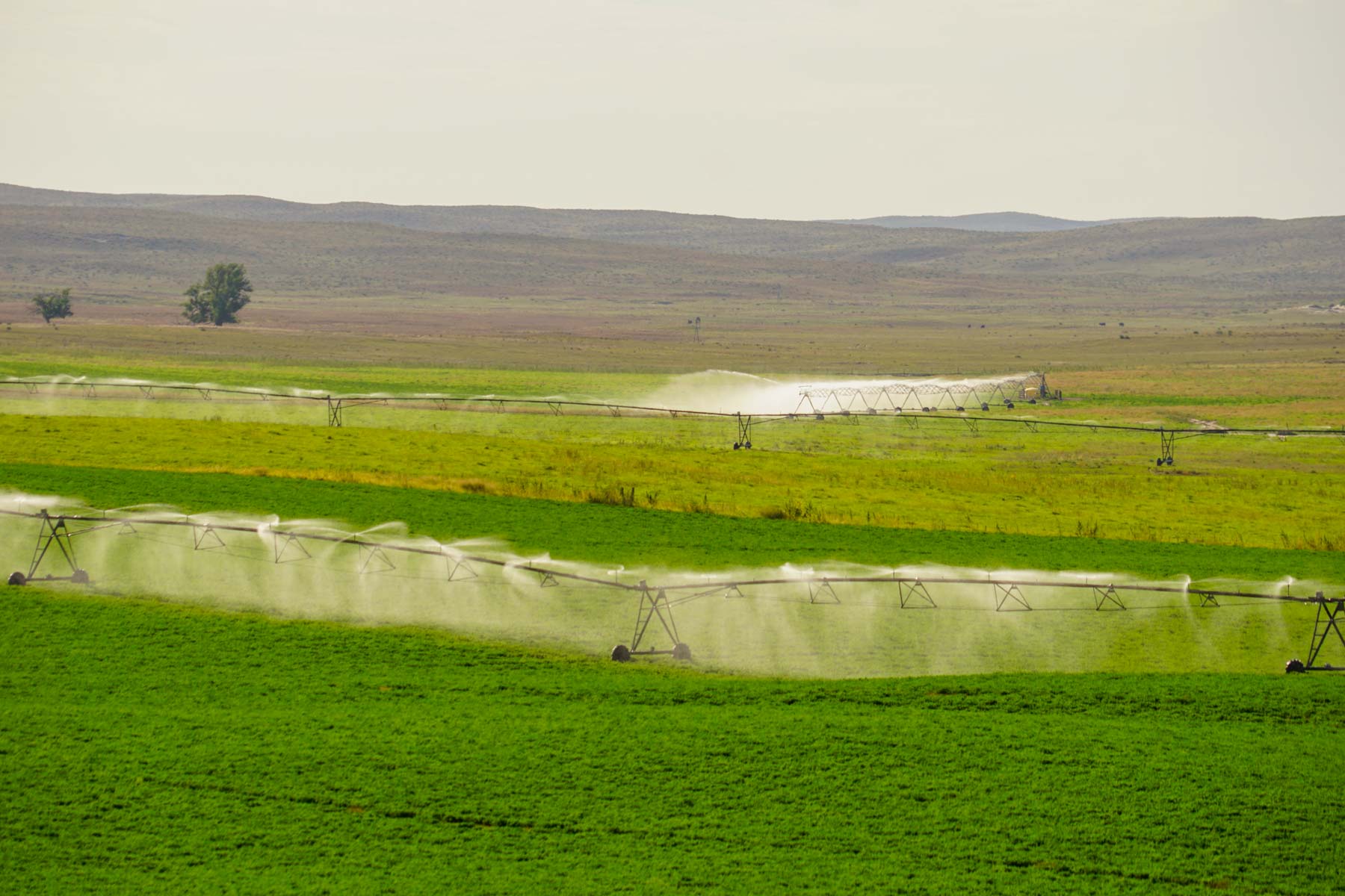 Whitetail Farm property picture 40 of 55