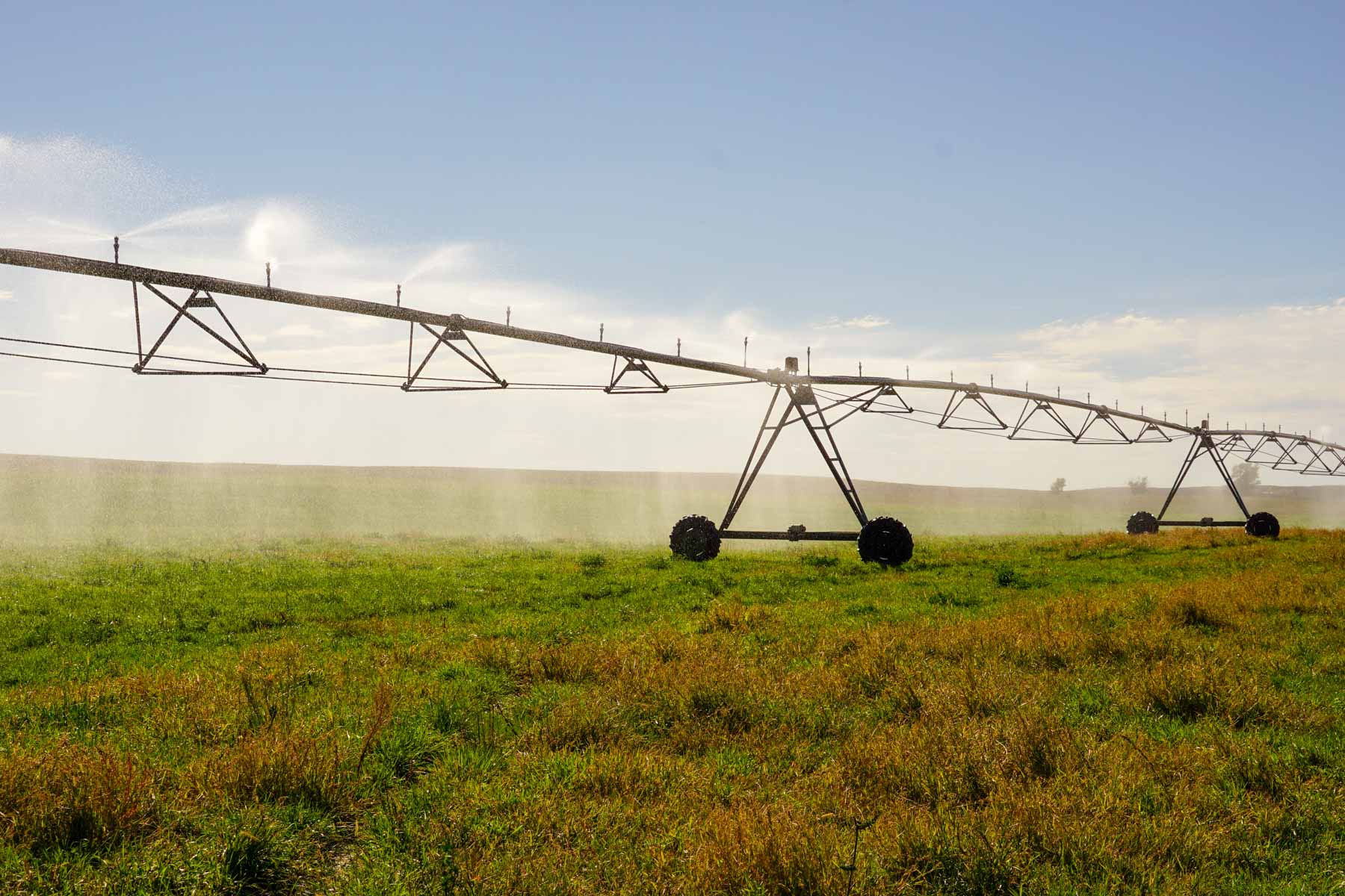 Whitetail Farm property picture 12 of 55