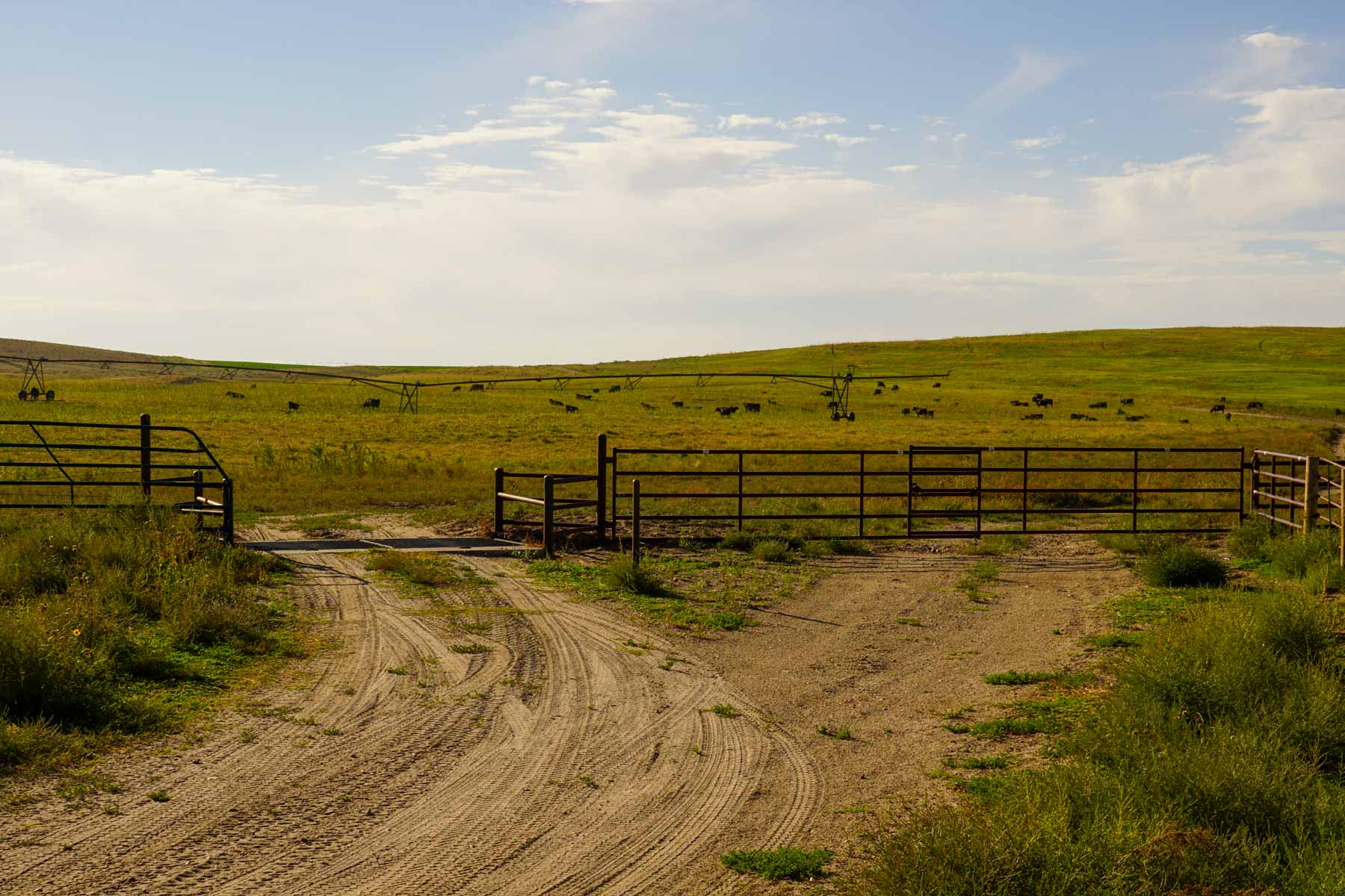 Whitetail Farm property picture 48 of 55