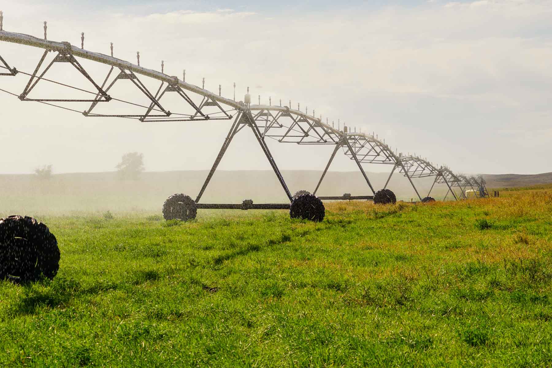 Whitetail Farm property picture 31 of 55