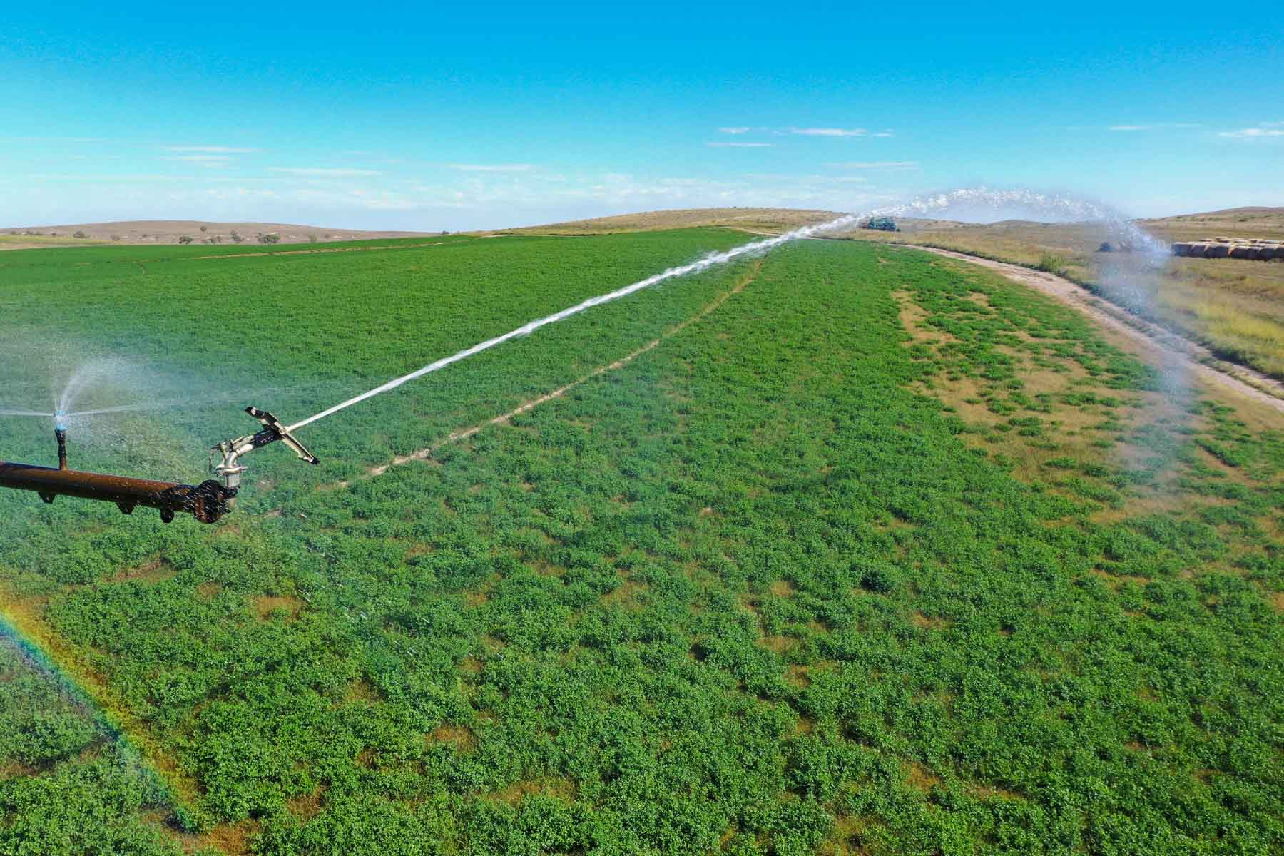 Whitetail Farm property picture 18 of 55