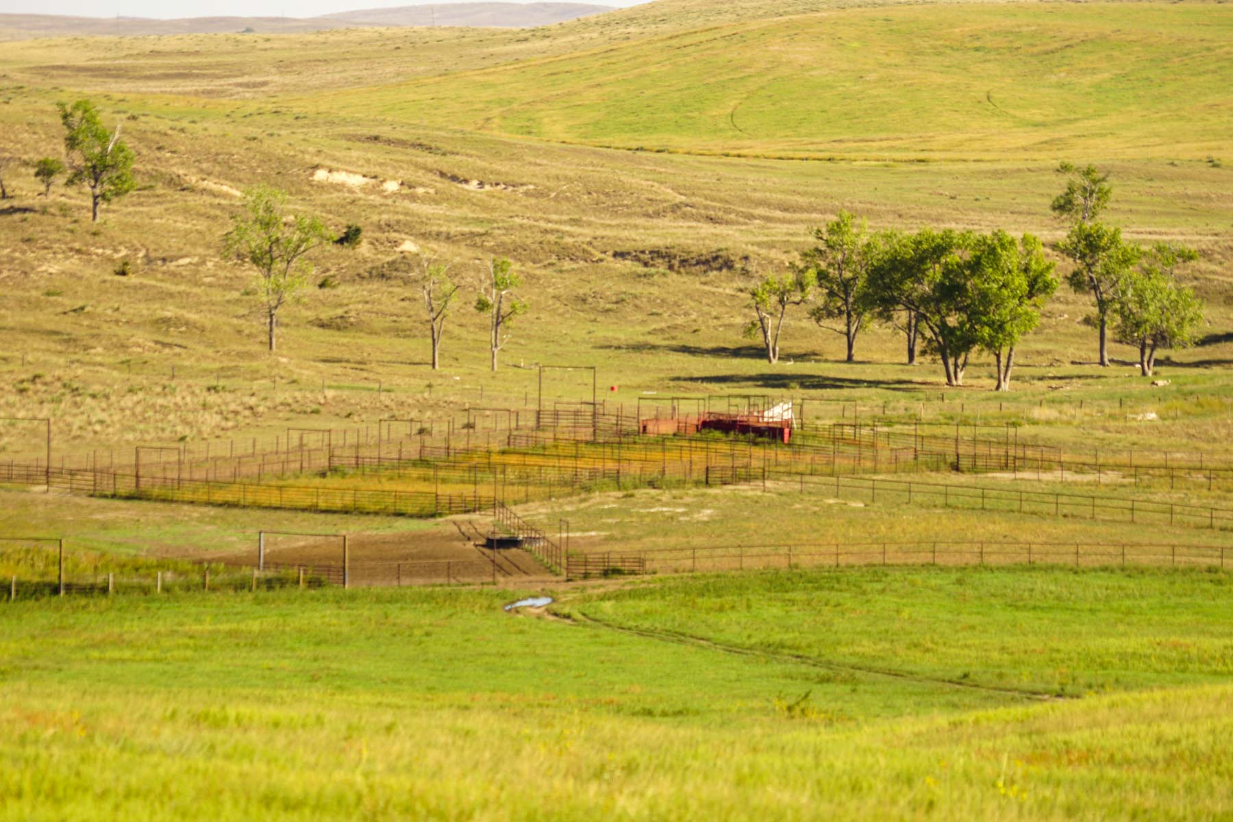 Whitetail Farm property picture 45 of 55