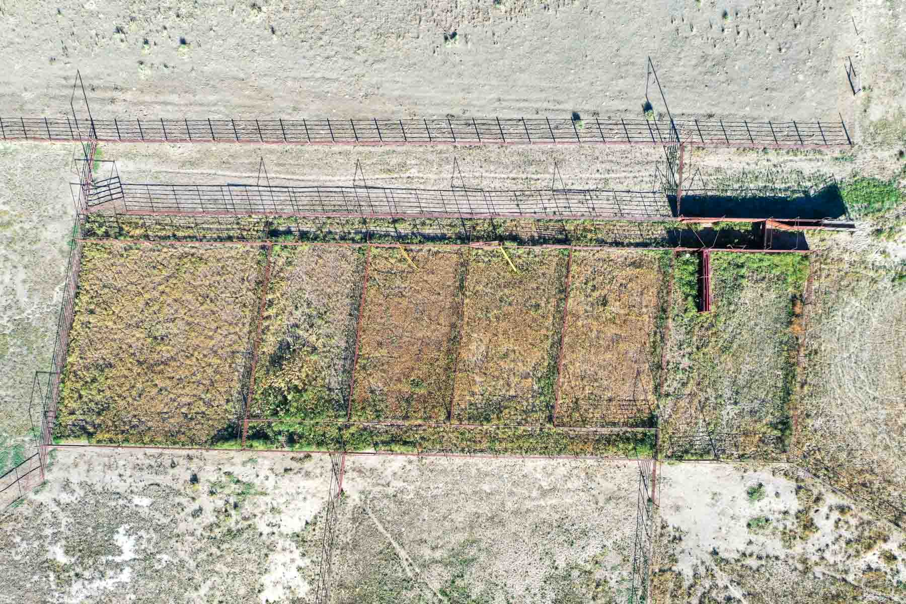 Whitetail Farm property picture 51 of 55