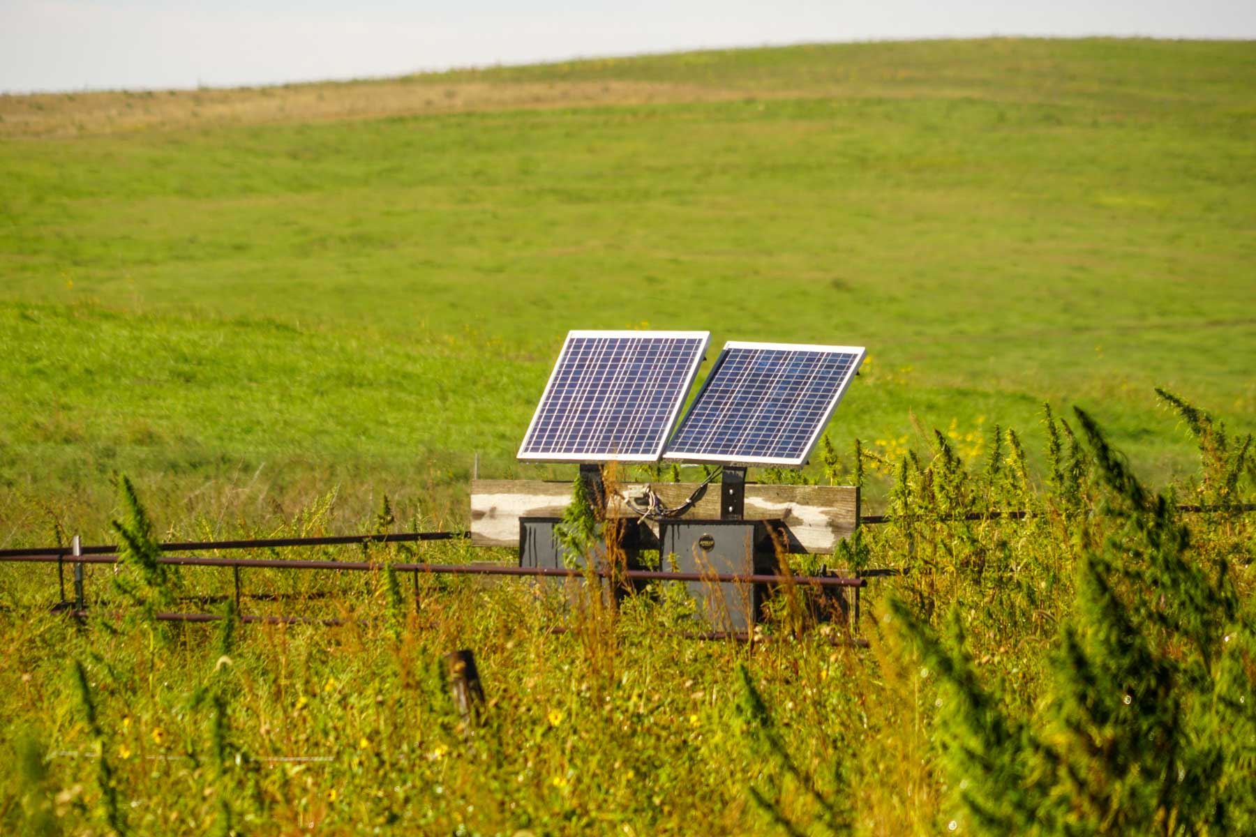 Whitetail Farm property picture 11 of 55