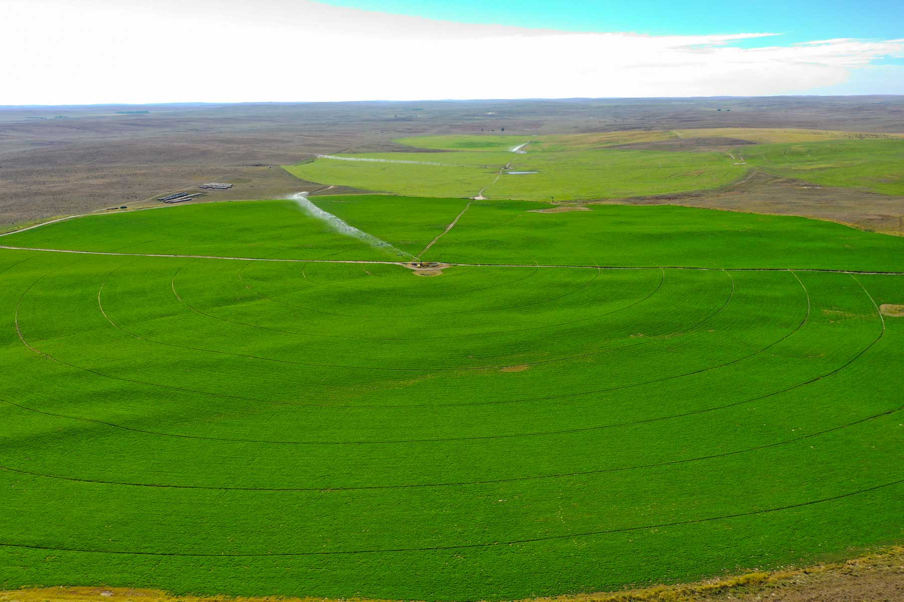 Whitetail Farm property picture 7 of 55