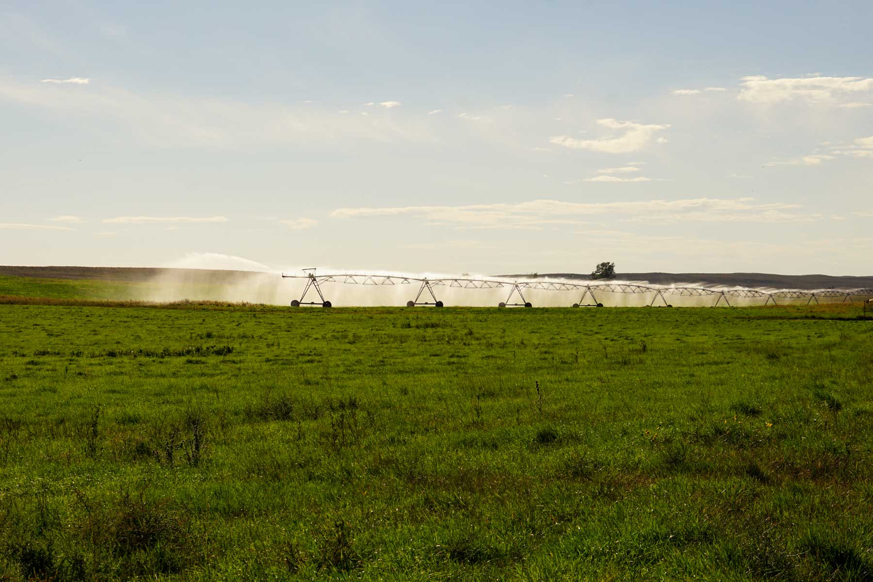 Whitetail Farm property picture 25 of 55