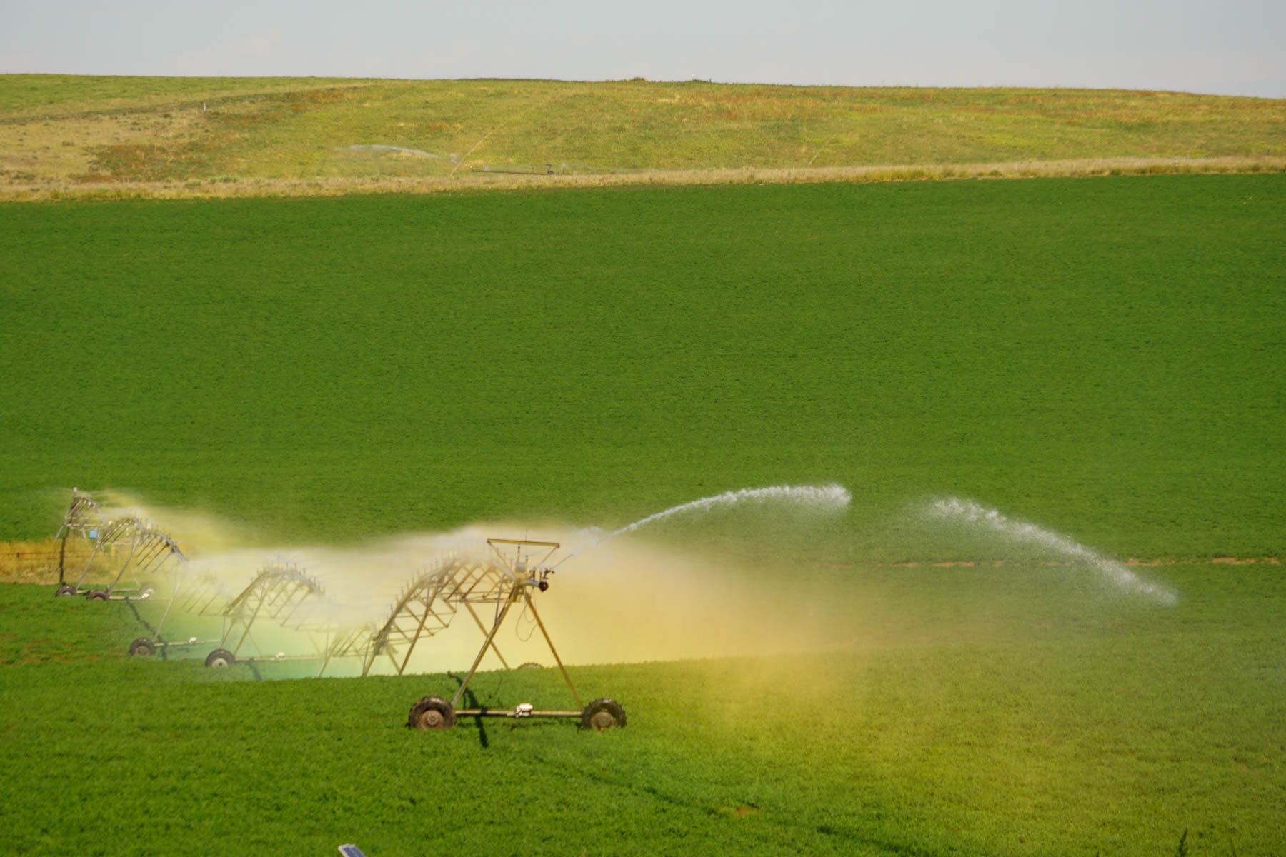 Whitetail Farm property picture 20 of 55