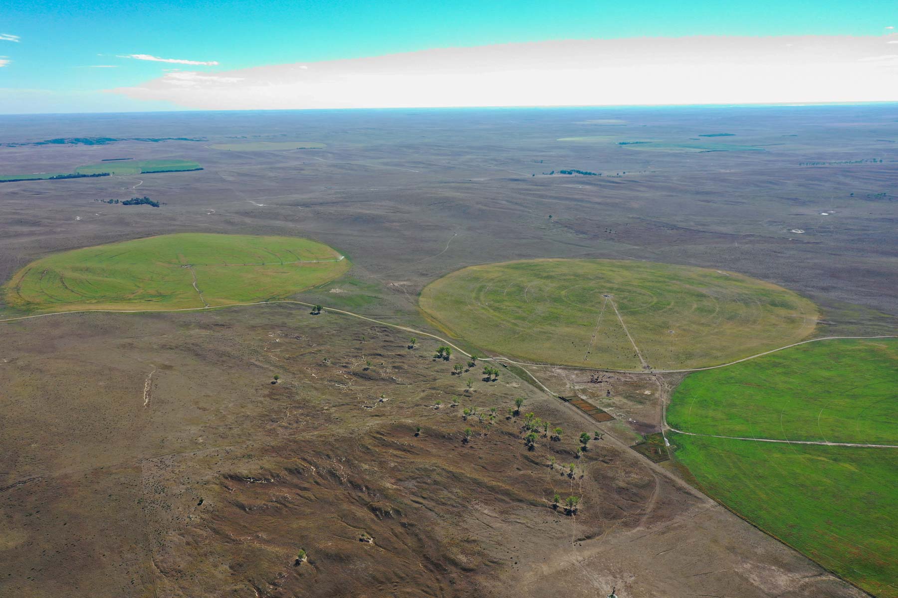 Whitetail Farm property picture 14 of 55