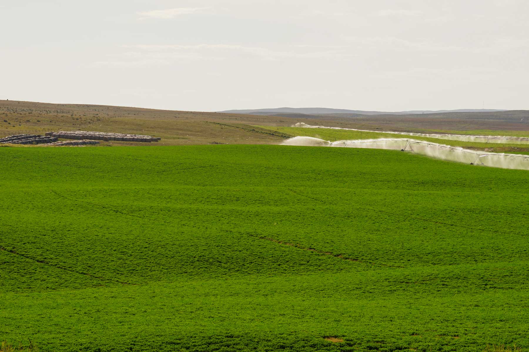 Whitetail Farm property picture 49 of 55