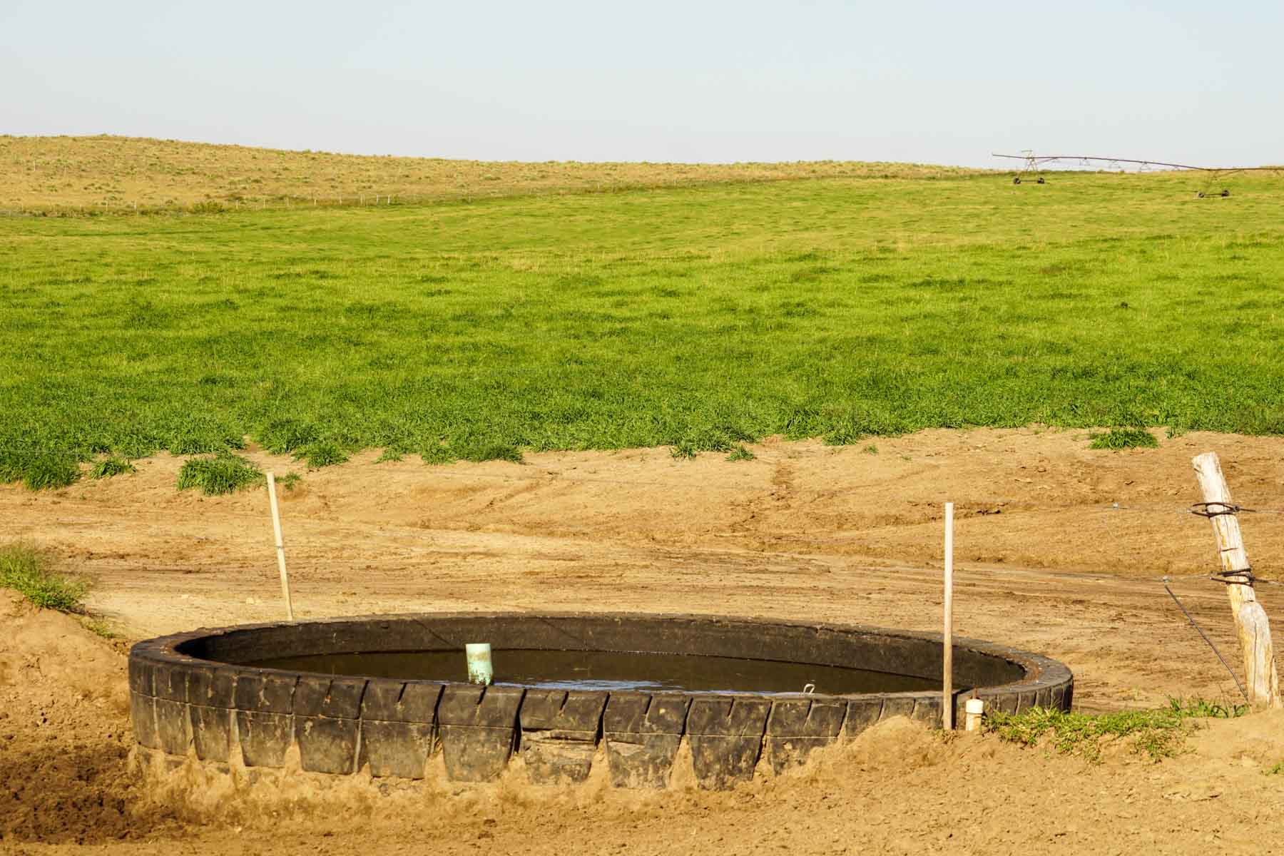 Whitetail Farm property picture 29 of 55