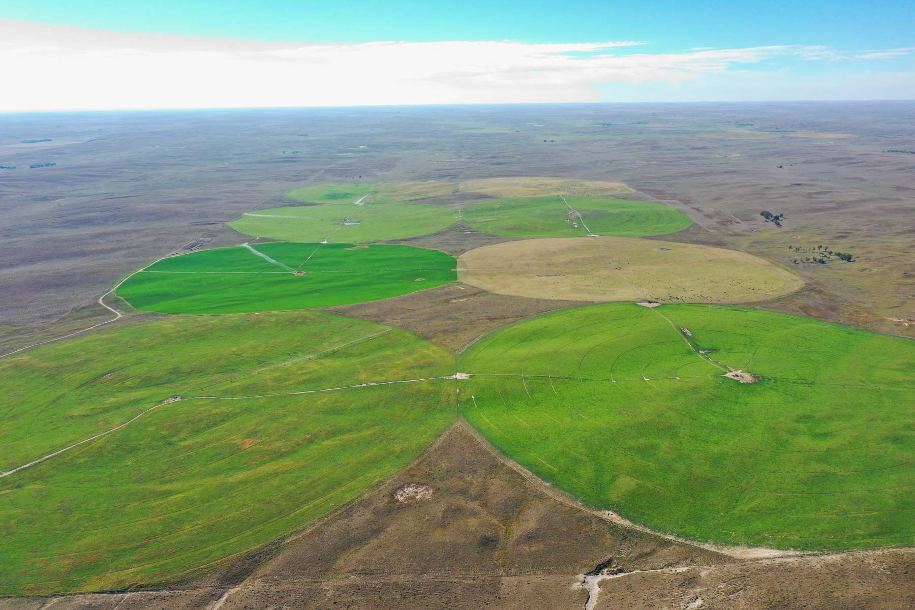 Whitetail Farm property picture 8 of 55