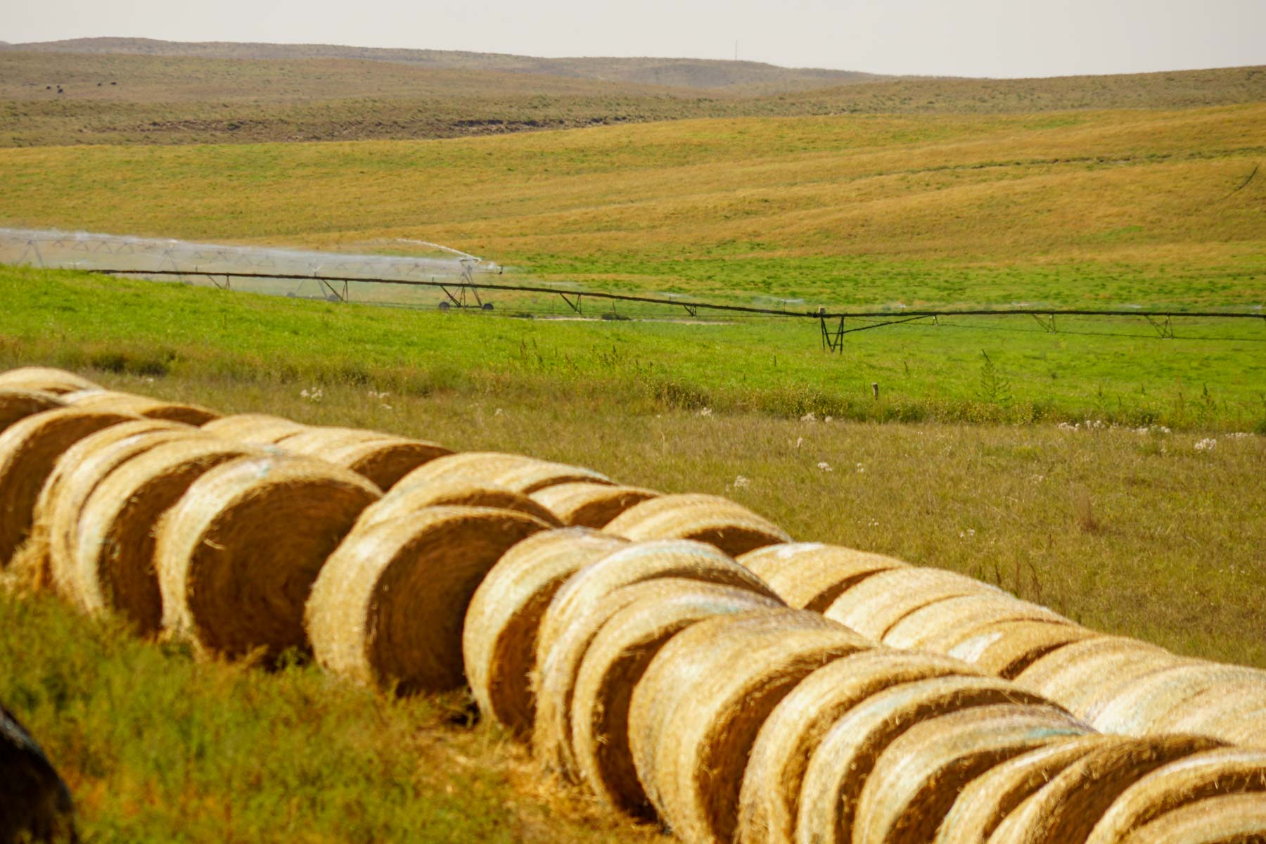 Whitetail Farm property picture 21 of 55