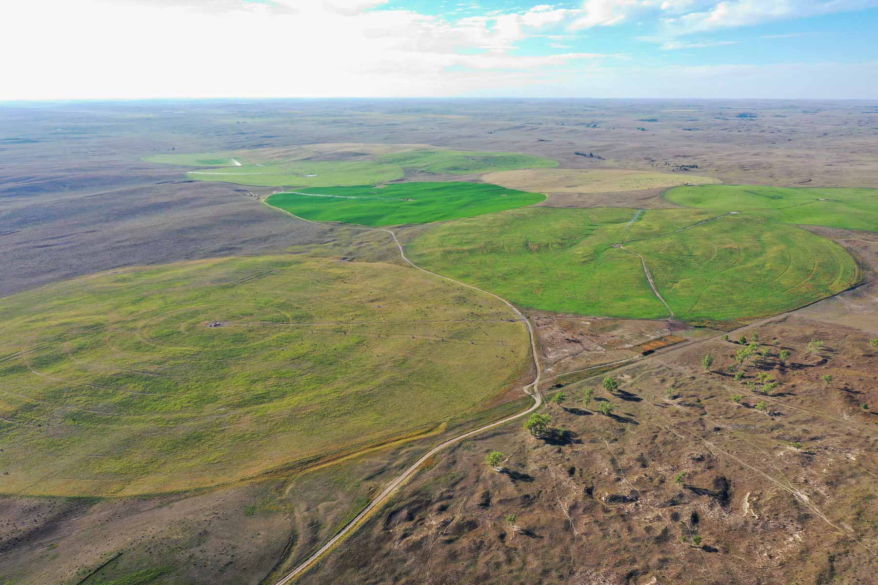 Whitetail Farm property picture 41 of 55