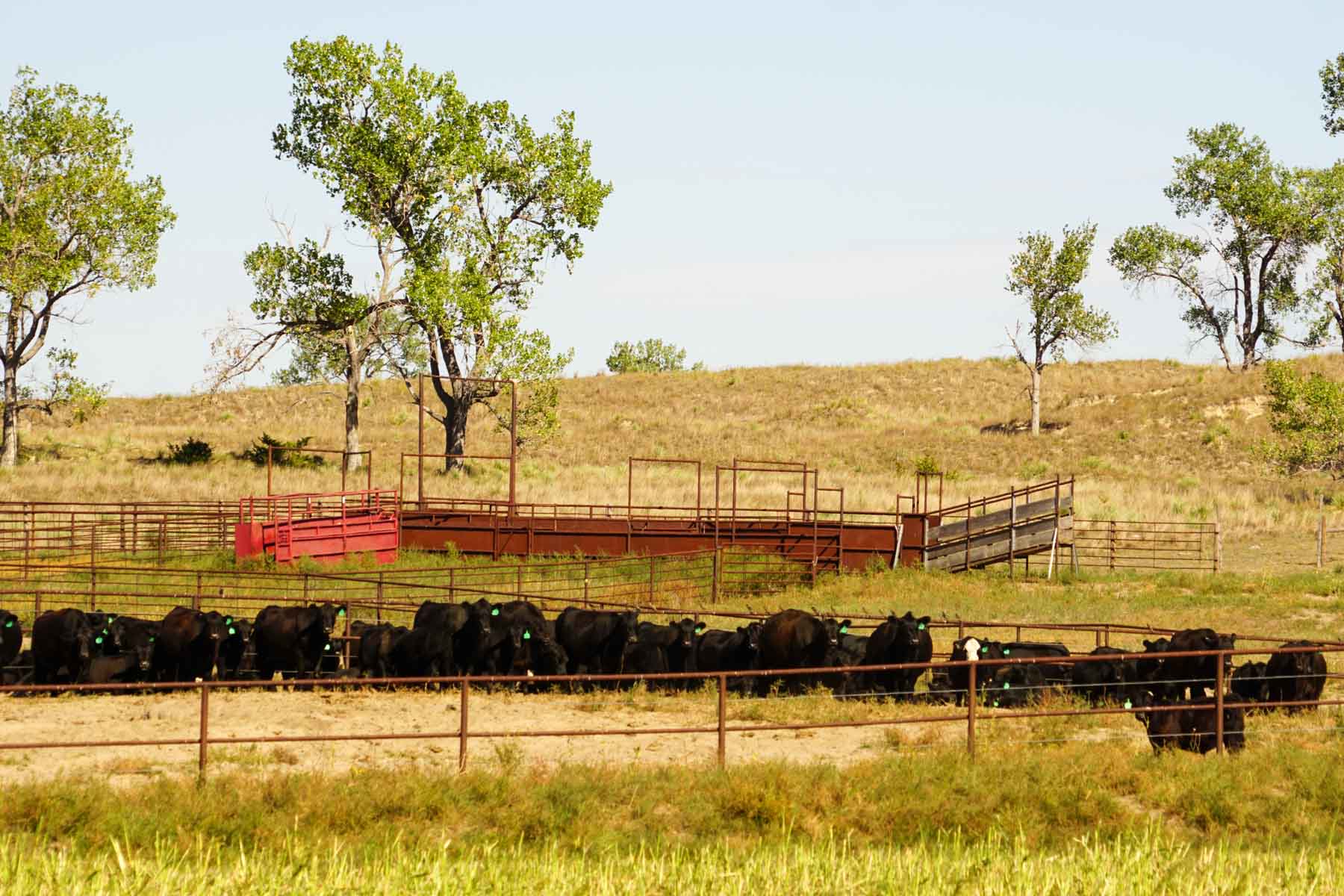 Whitetail Farm property picture 30 of 55