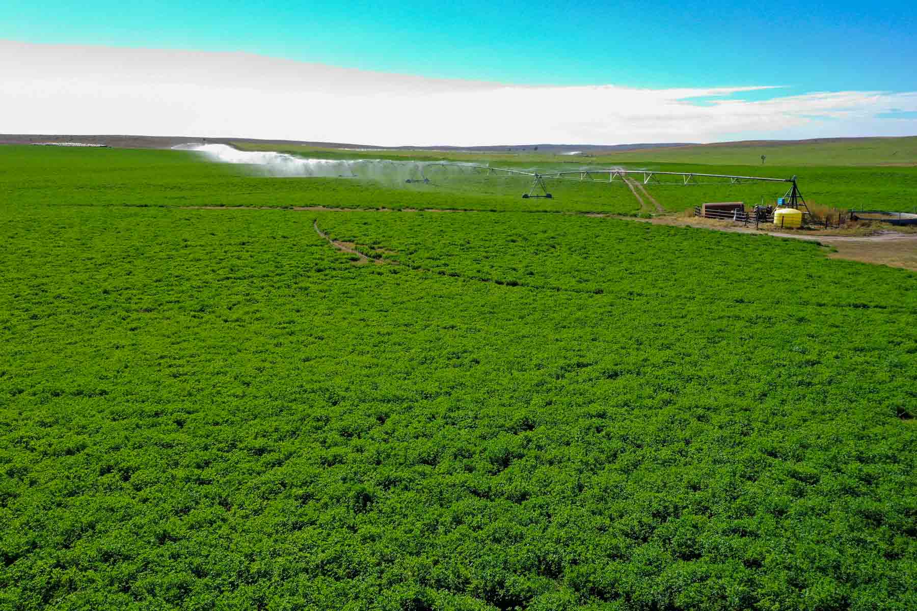 Whitetail Farm property picture 16 of 55