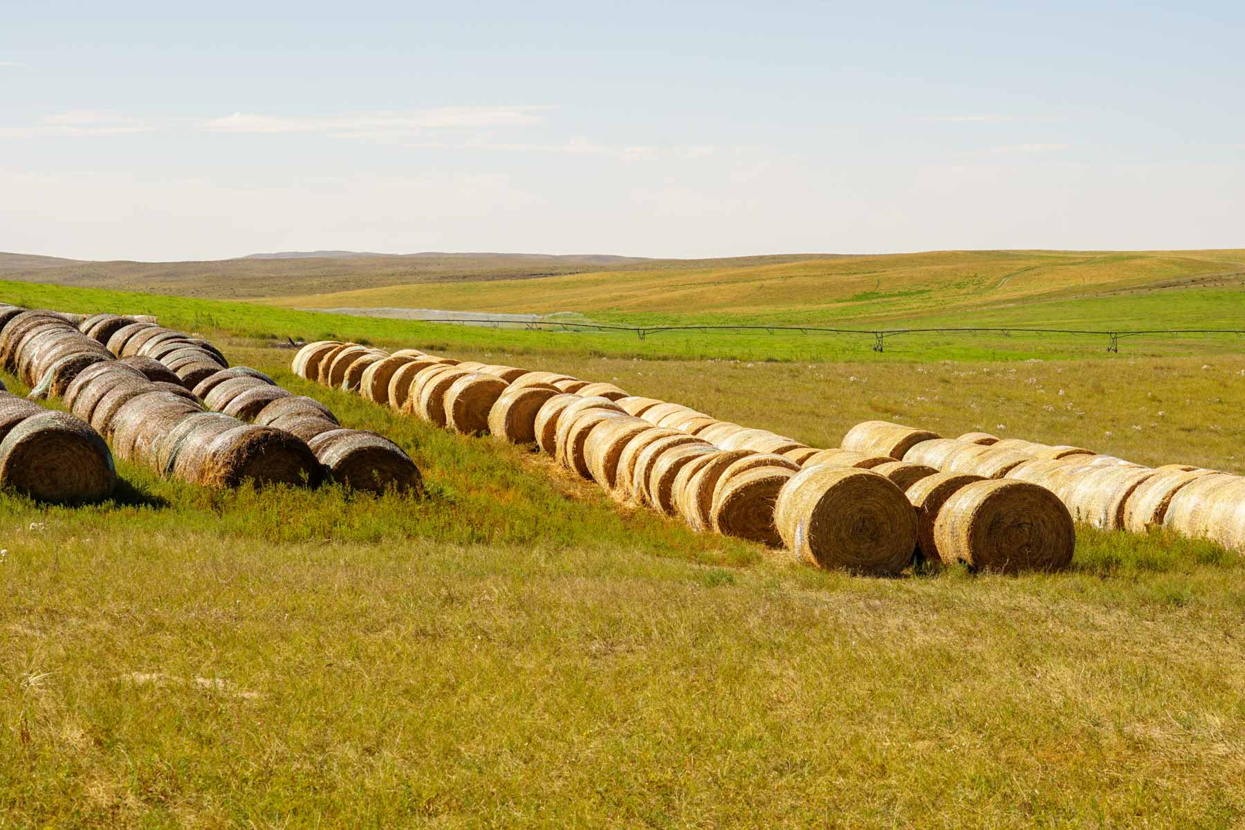 Whitetail Farm property picture 6 of 55