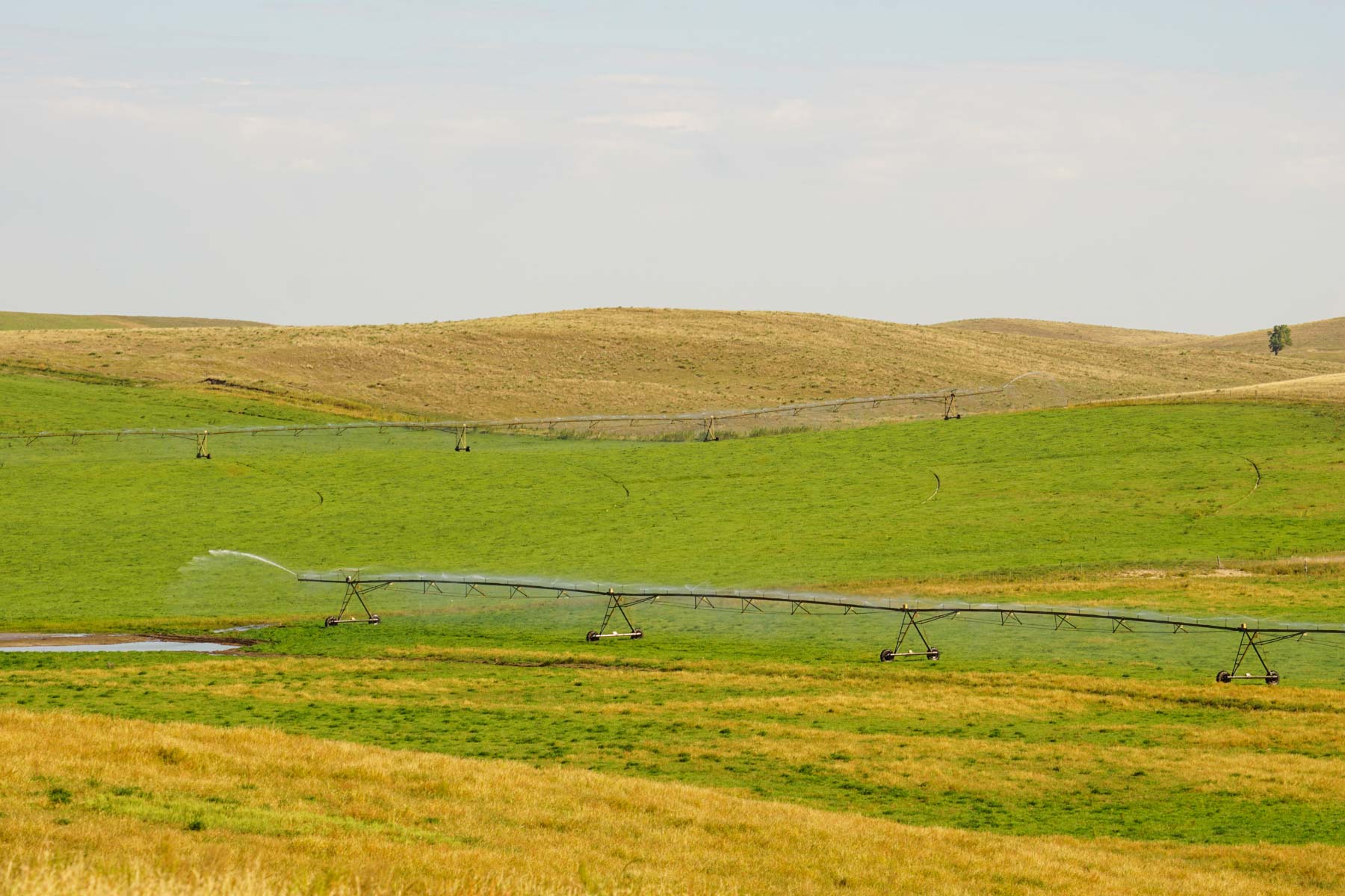 Whitetail Farm property picture 37 of 55