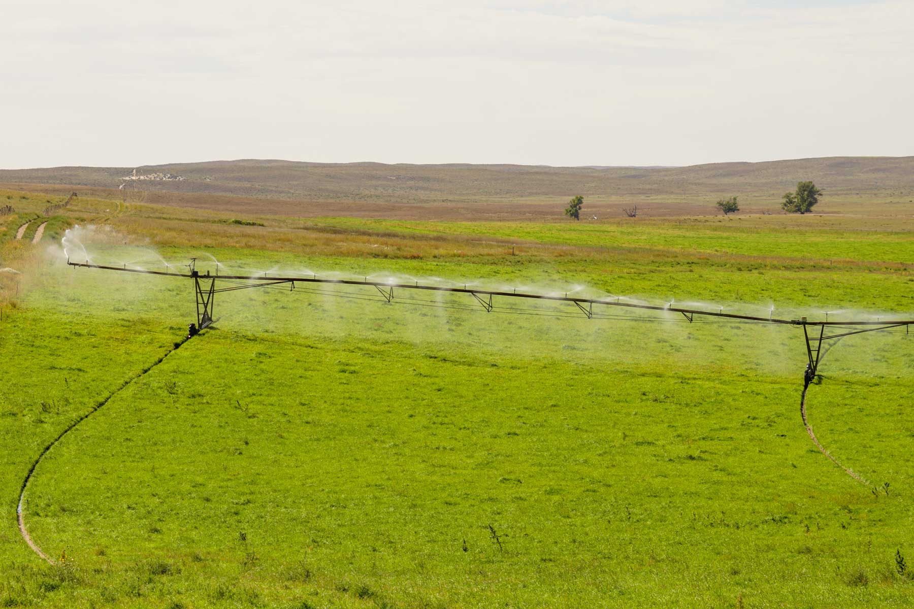 Whitetail Farm property picture 26 of 55