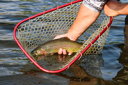 Eagle River Meadows property picture 11 of 54