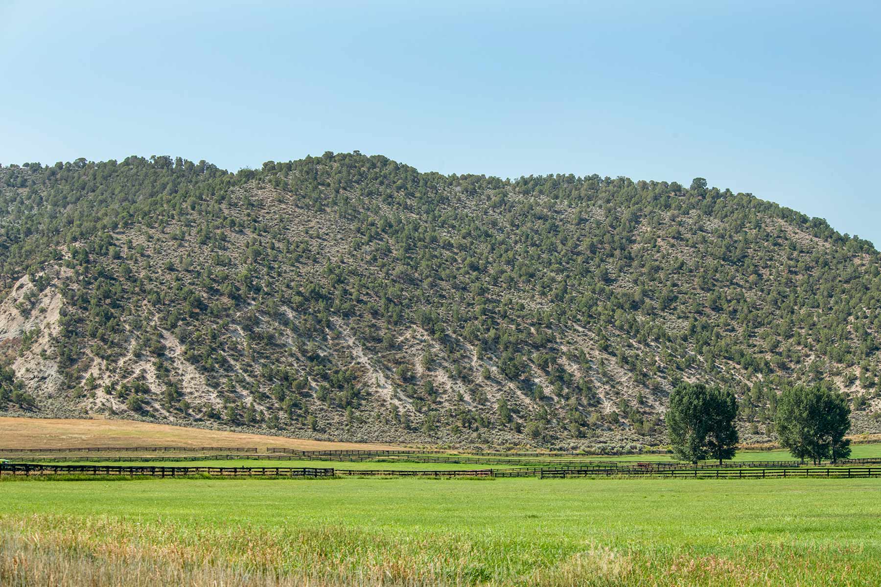 Eagle River Meadows property picture 24 of 54
