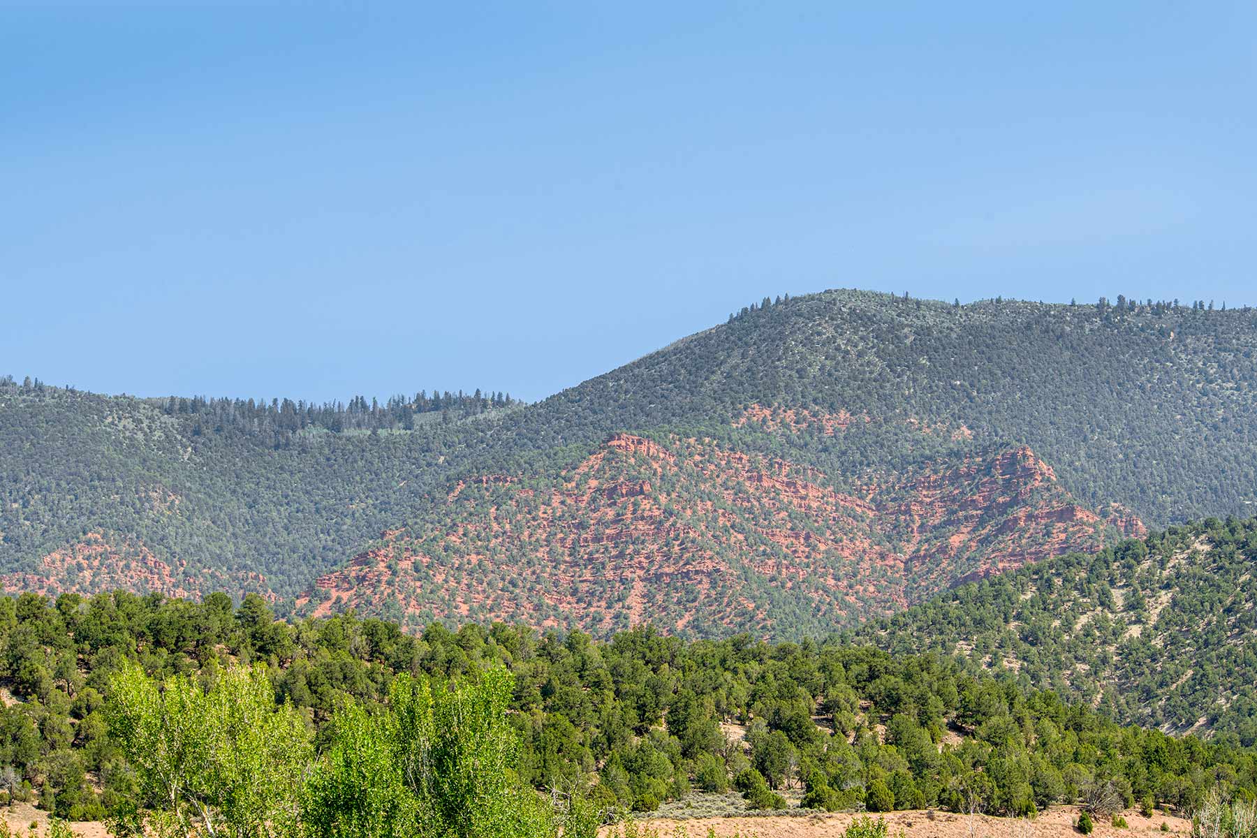 Eagle River Meadows property picture 22 of 54
