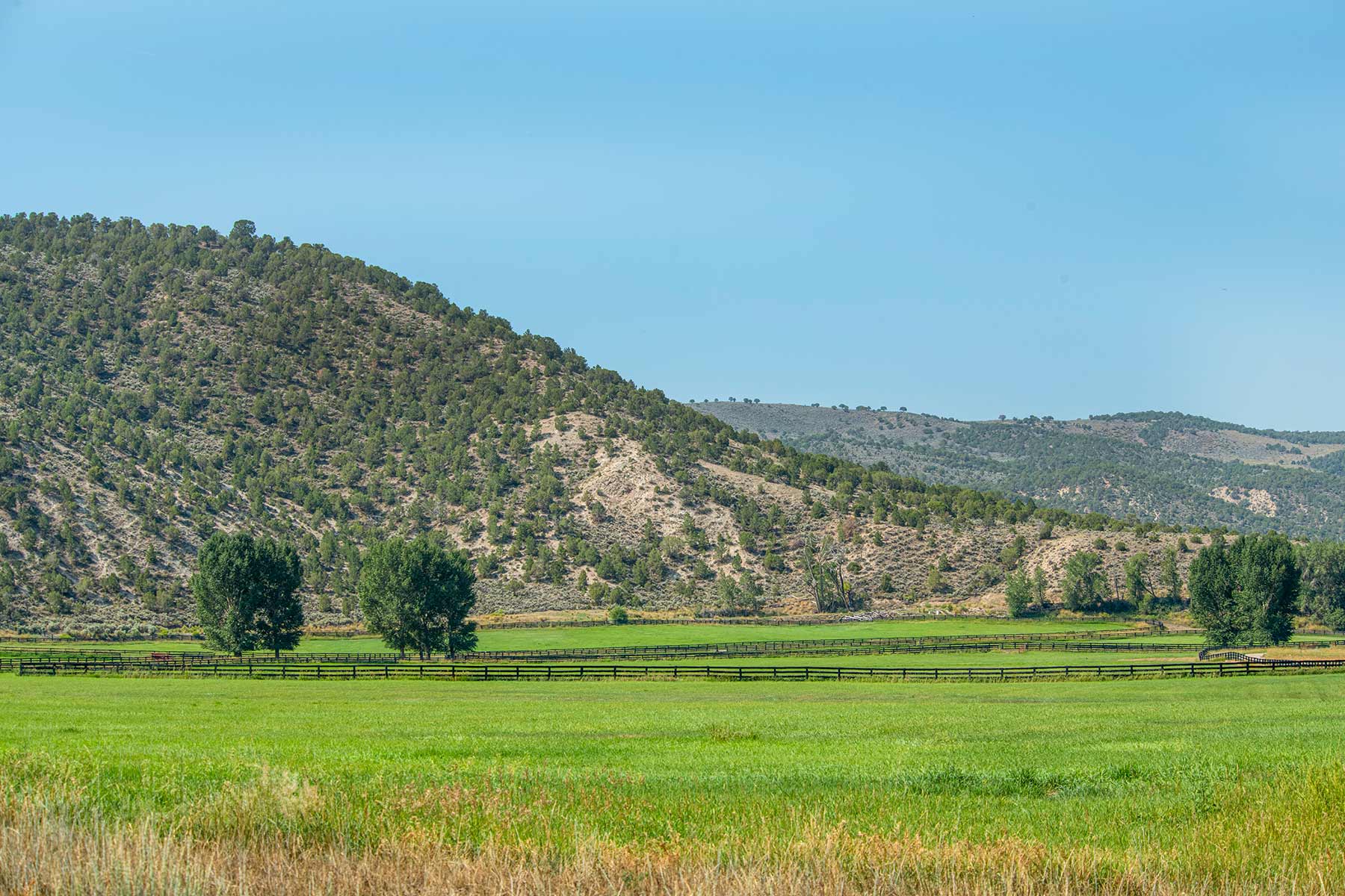 Eagle River Meadows property picture 23 of 54
