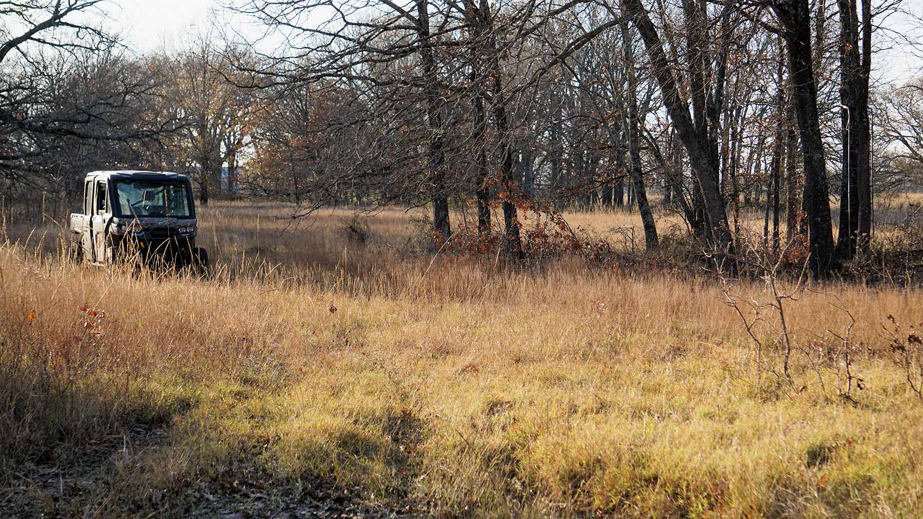 Serenity Valley Ranch property picture 50 of 84