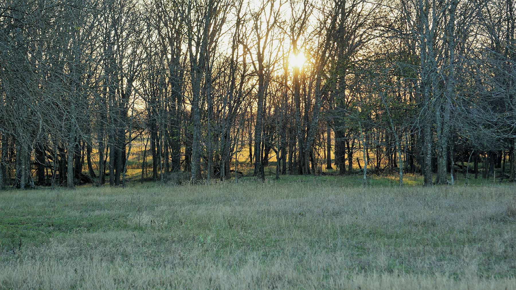 Serenity Valley Ranch property picture 70 of 84