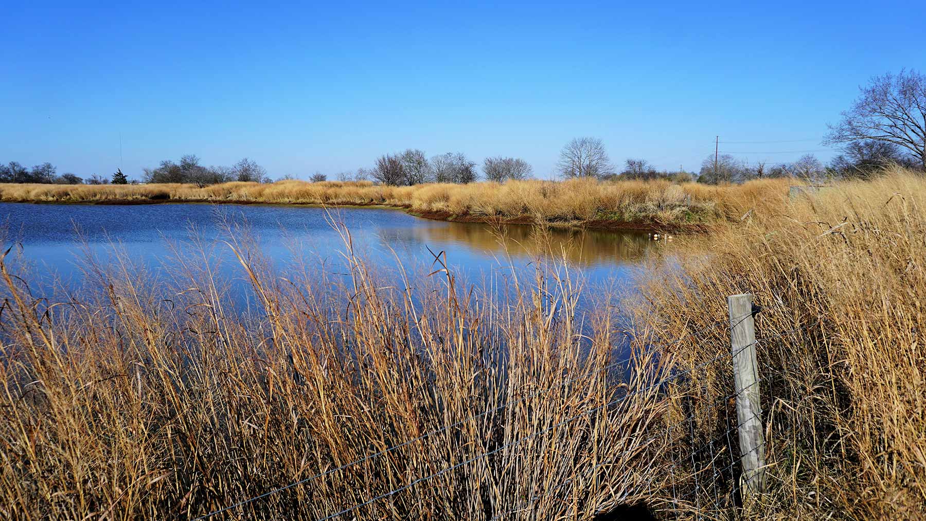 Serenity Valley Ranch property picture 10 of 84