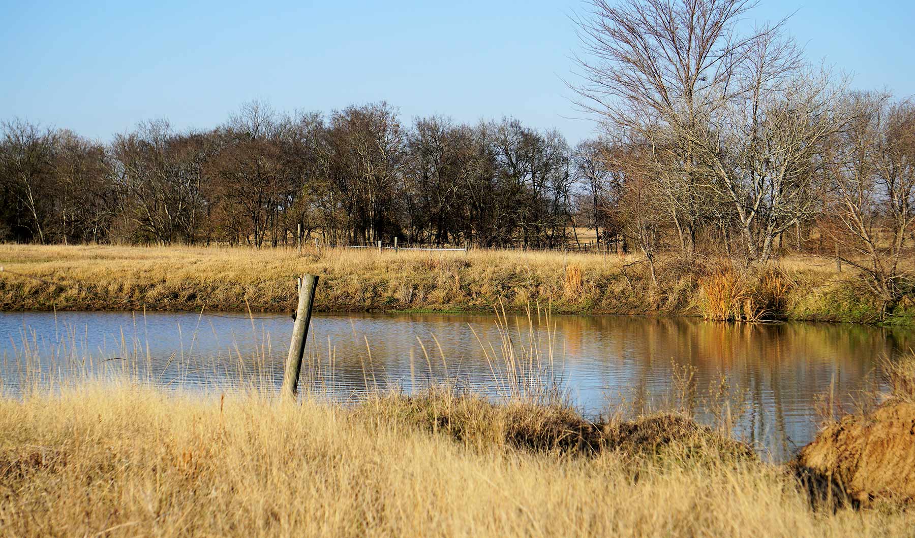 Serenity Valley Ranch property picture 37 of 84