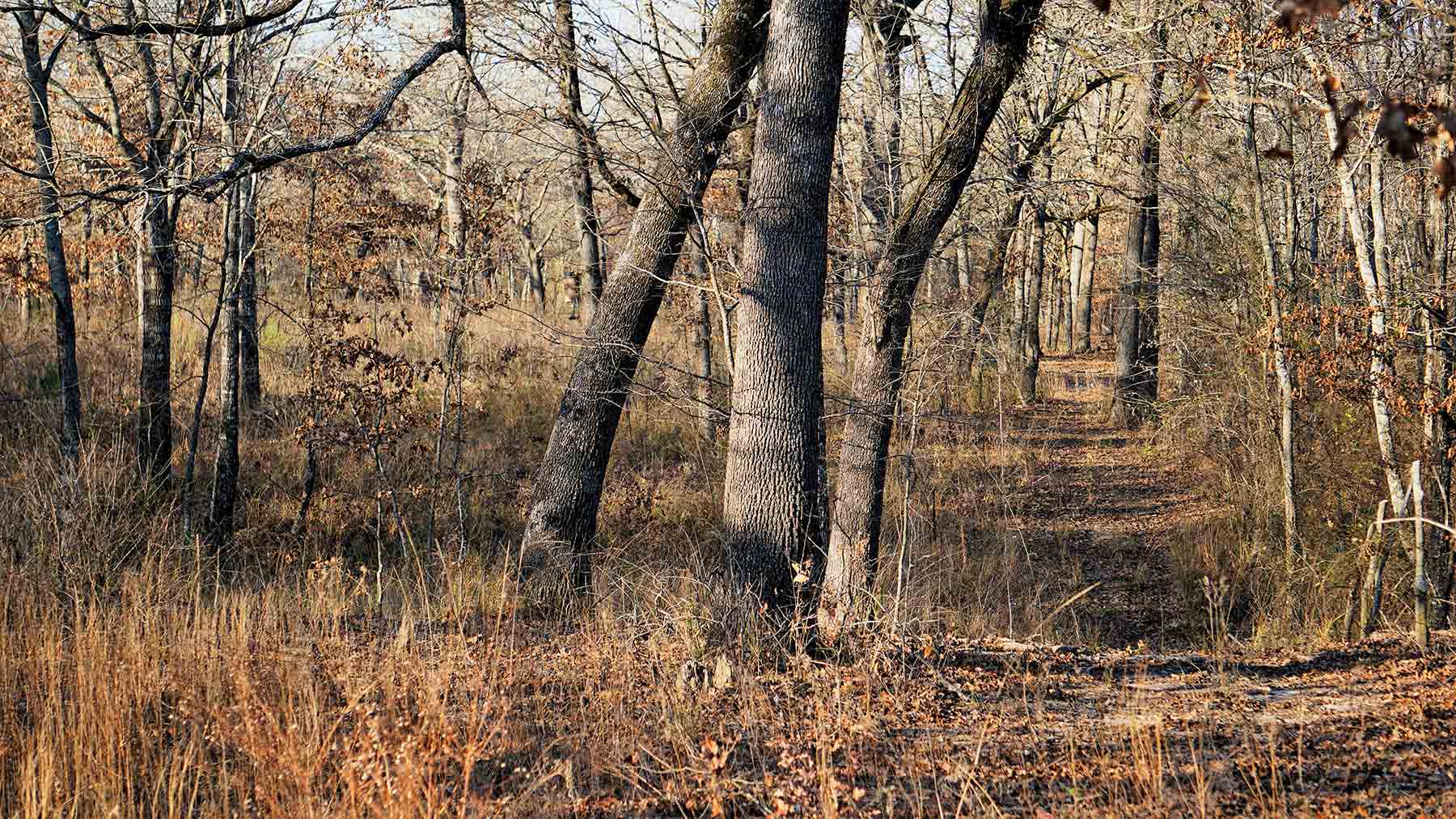 Serenity Valley Ranch property picture 55 of 84