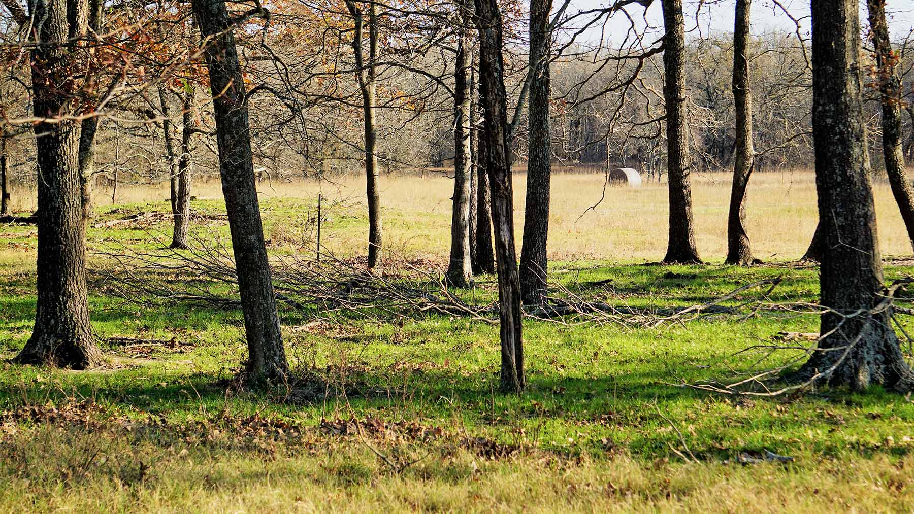 Serenity Valley Ranch property picture 39 of 84