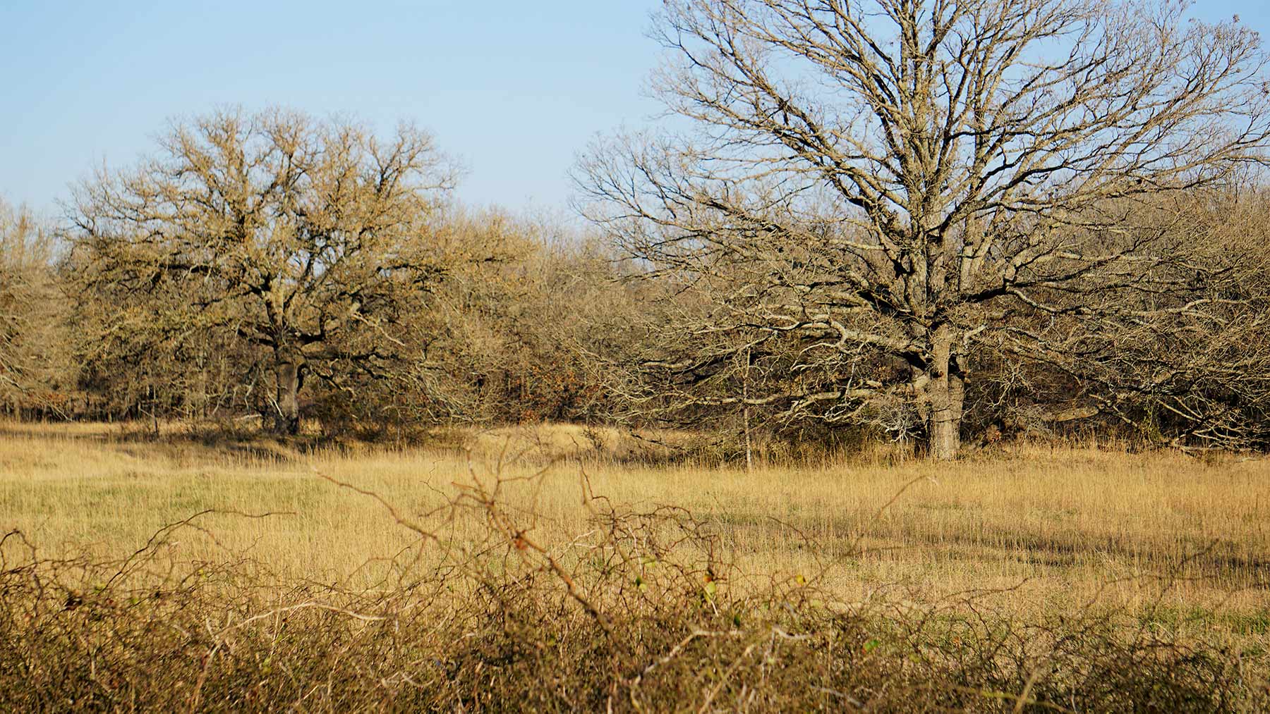 Serenity Valley Ranch property picture 43 of 84