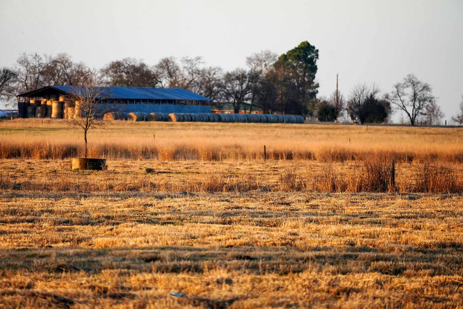 Serenity Valley Ranch property picture 83 of 84
