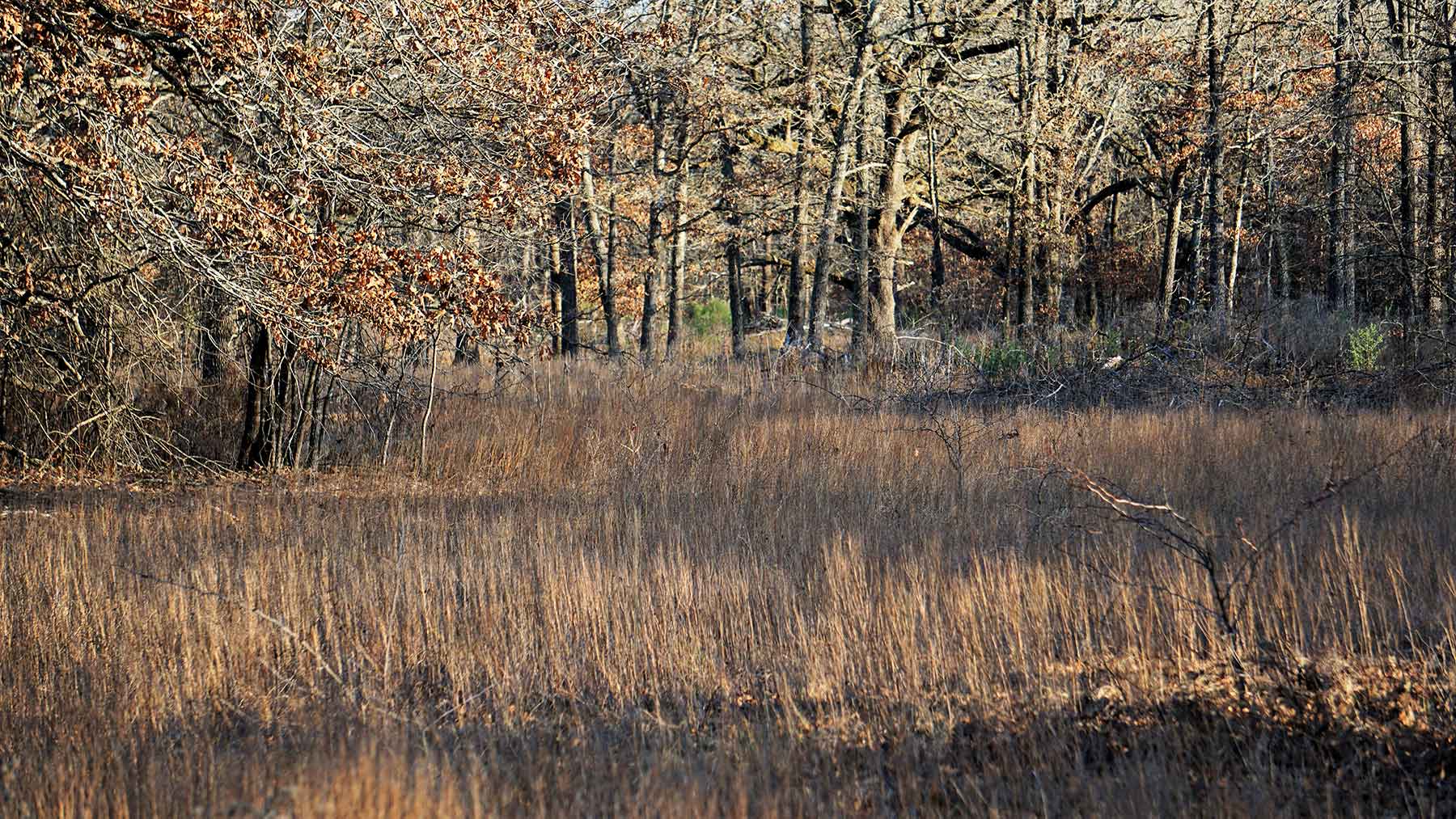 Serenity Valley Ranch property picture 52 of 84