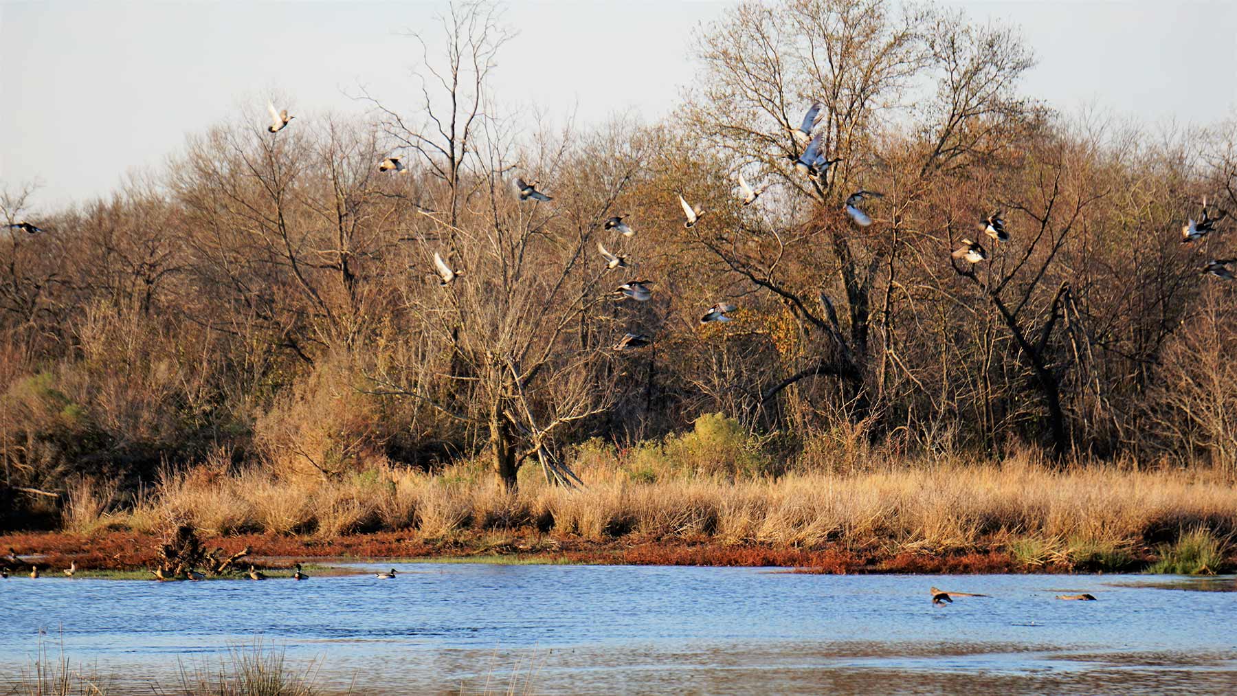 Serenity Valley Ranch property picture 62 of 84