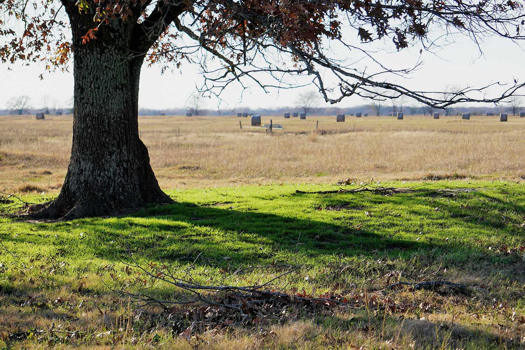Serenity Valley Ranch property picture 8 of 84
