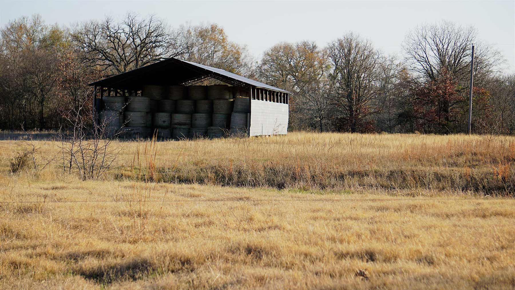 Serenity Valley Ranch property picture 42 of 84