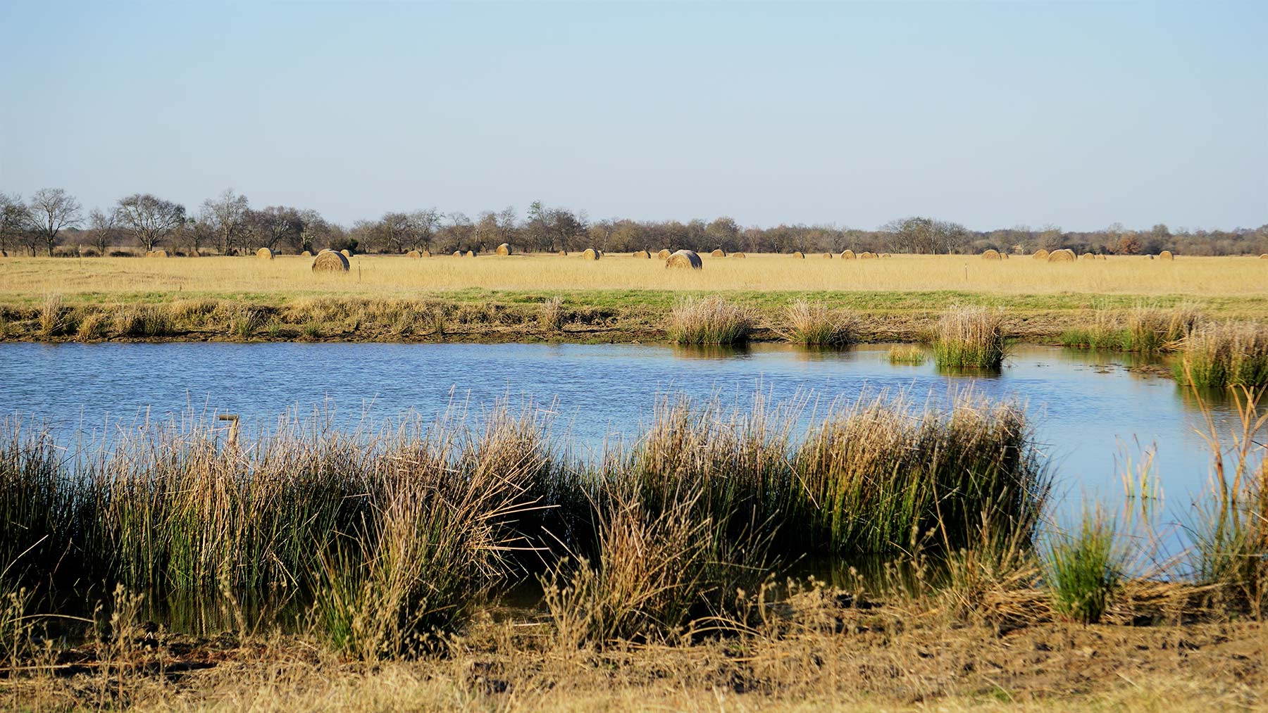Serenity Valley Ranch property picture 41 of 84