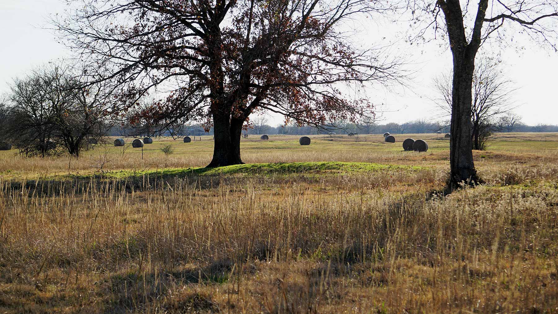 Serenity Valley Ranch property picture 34 of 84