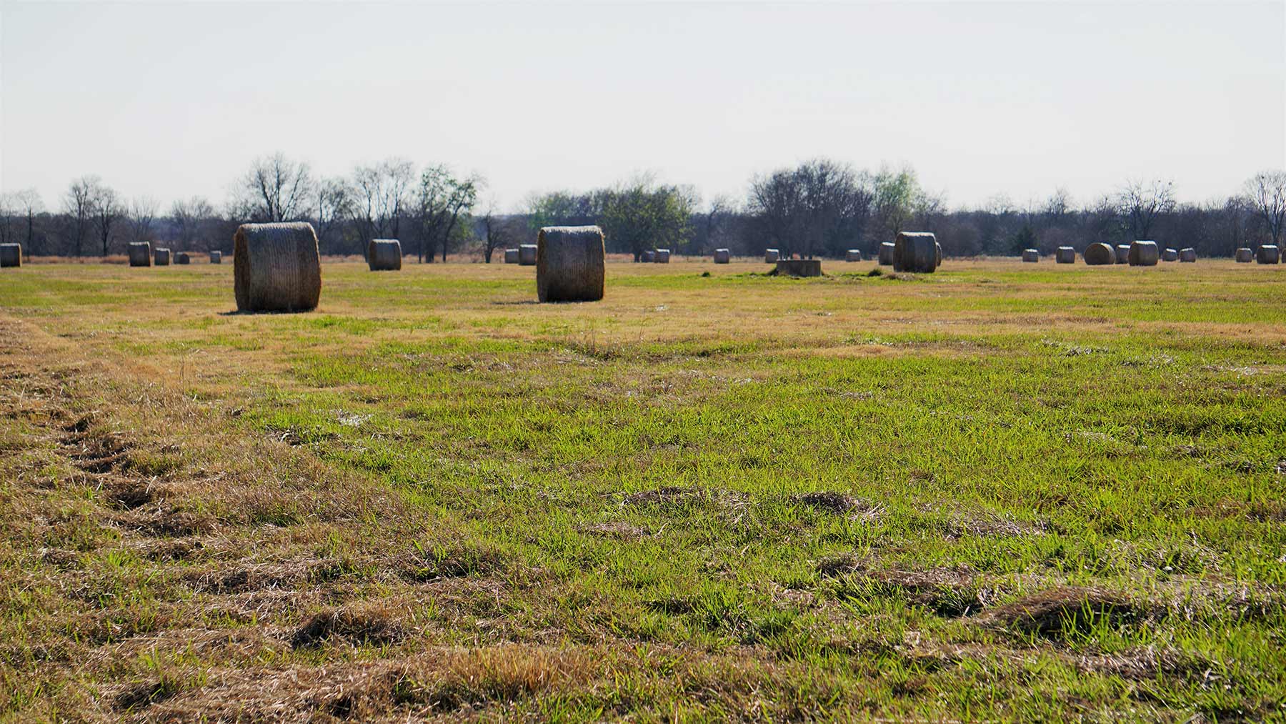 Serenity Valley Ranch property picture 28 of 84