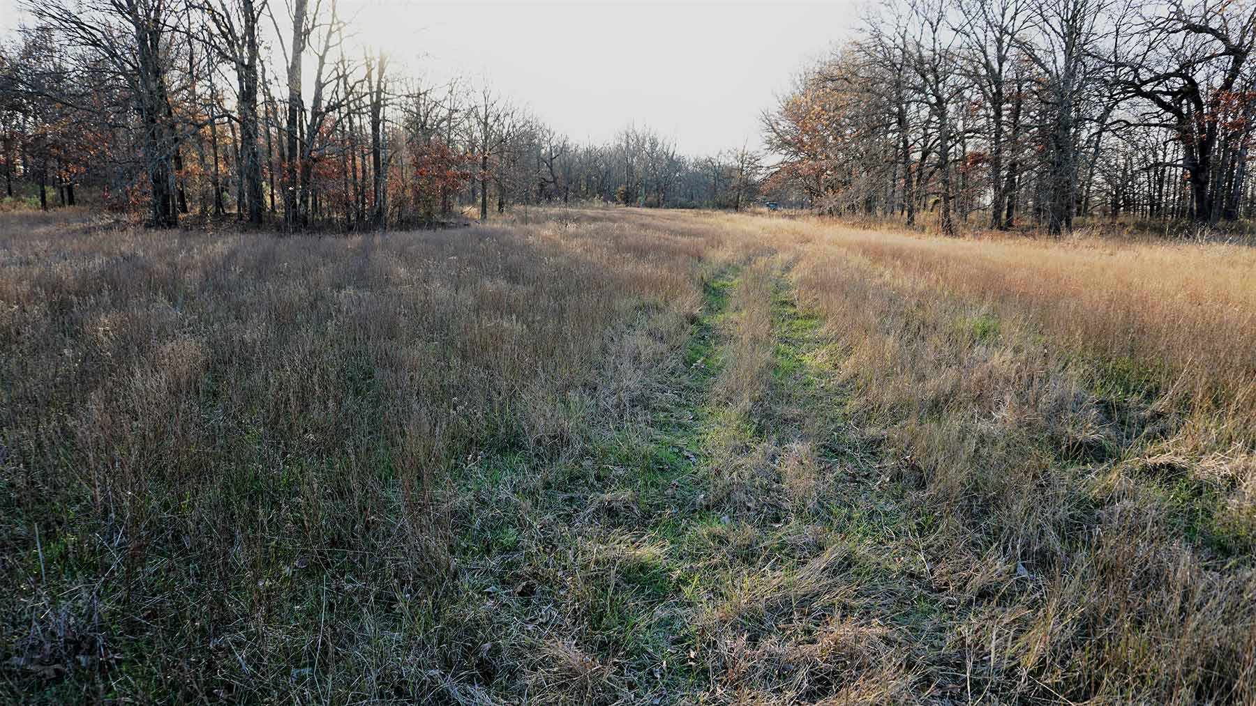 Serenity Valley Ranch property picture 56 of 84