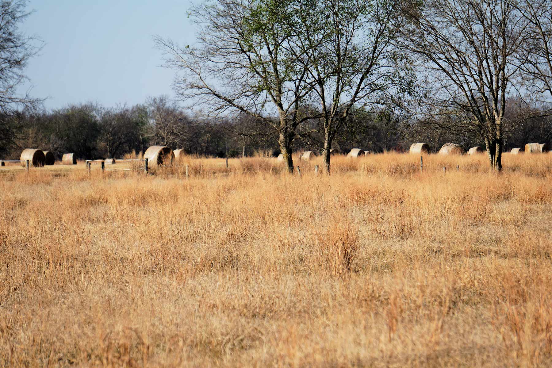 Serenity Valley Ranch property picture 23 of 84