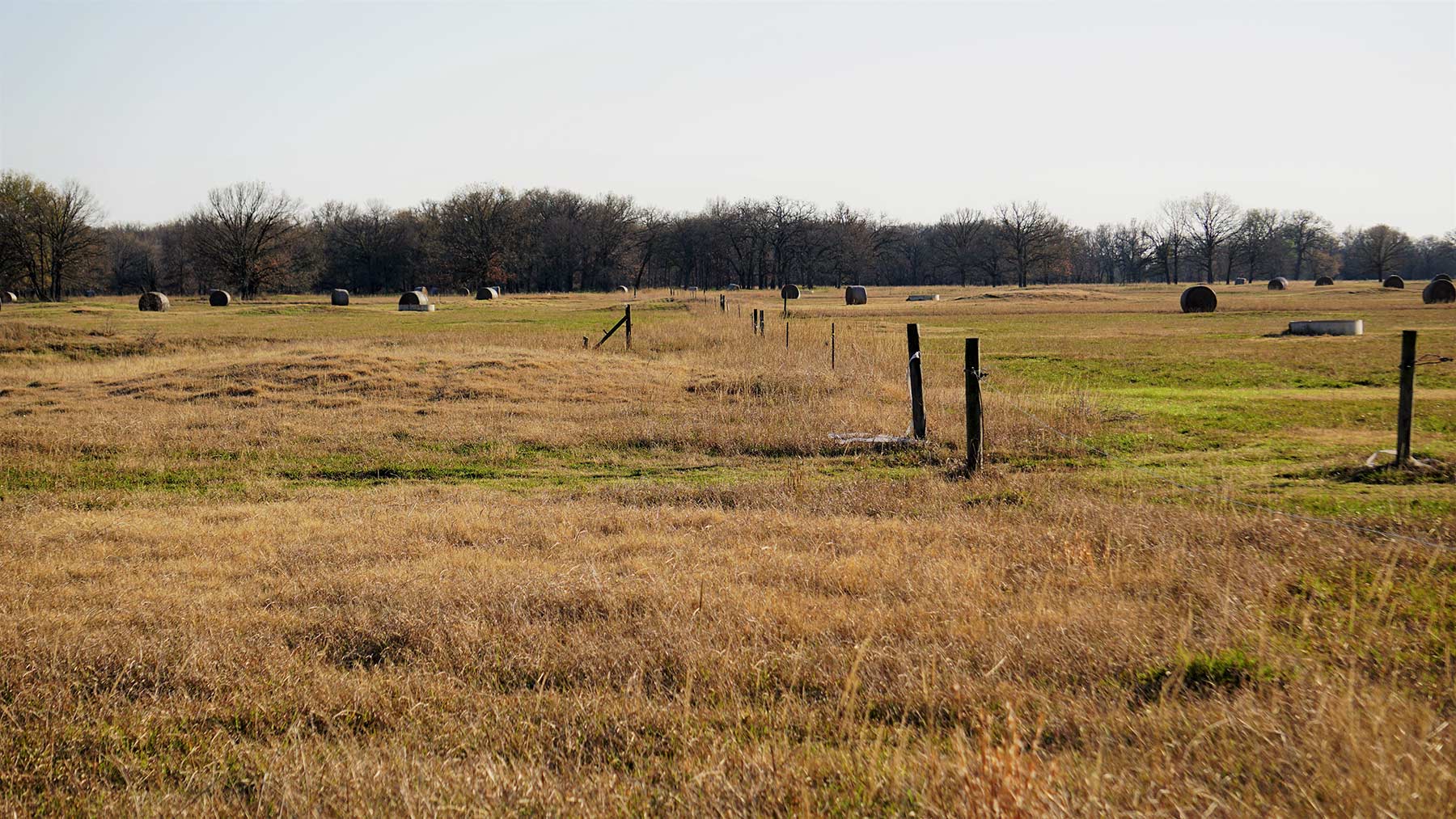 Serenity Valley Ranch property picture 38 of 84