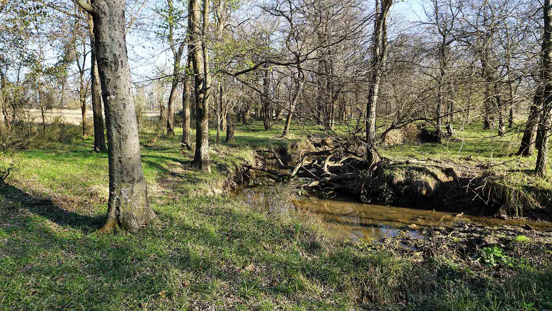 Serenity Valley Ranch property picture 33 of 84