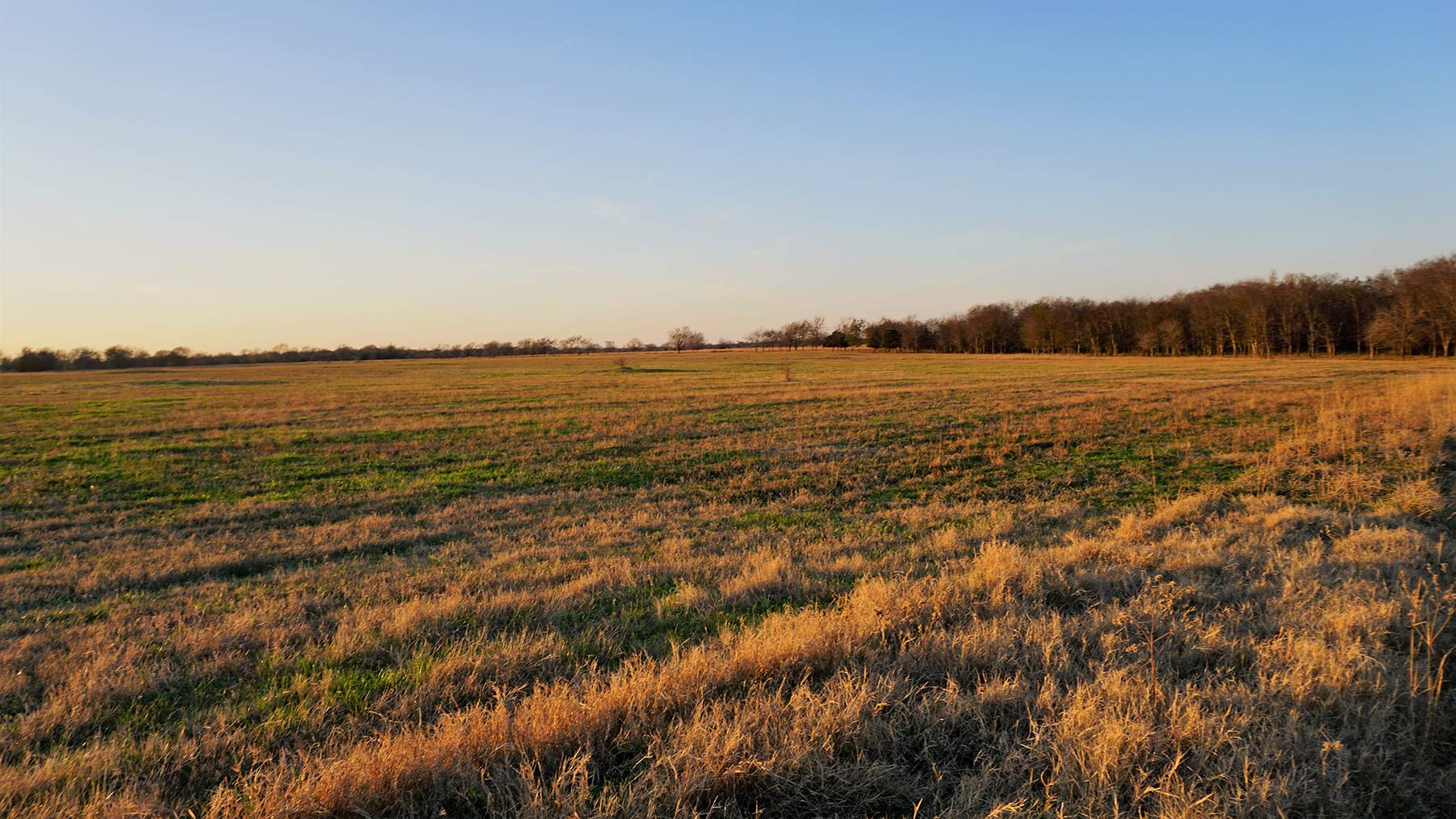 Serenity Valley Ranch property picture 68 of 84