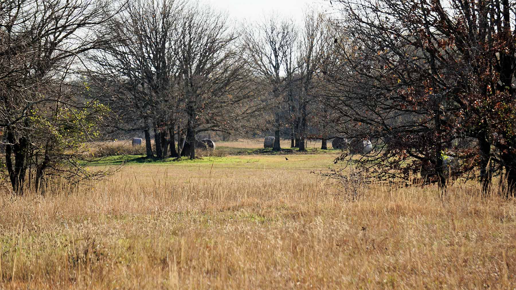 Serenity Valley Ranch property picture 35 of 84
