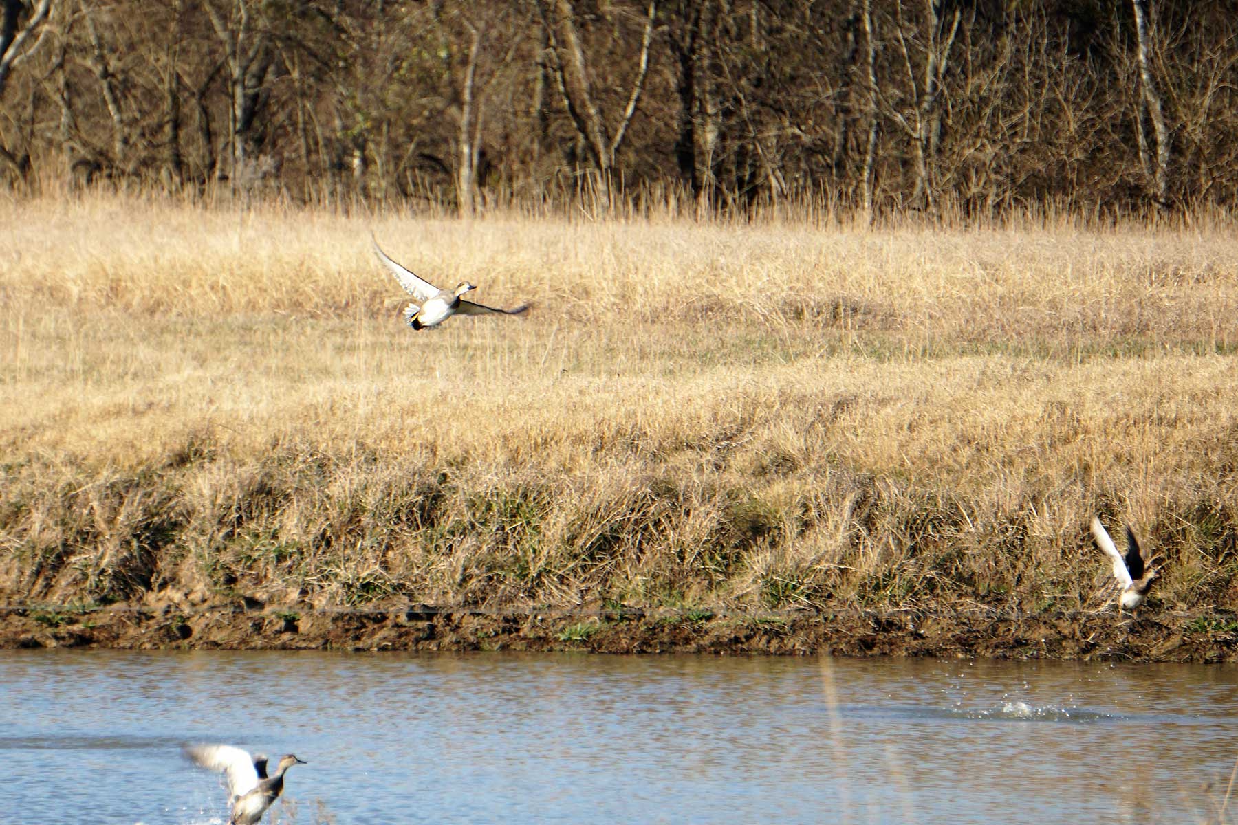Serenity Valley Ranch property picture 7 of 84